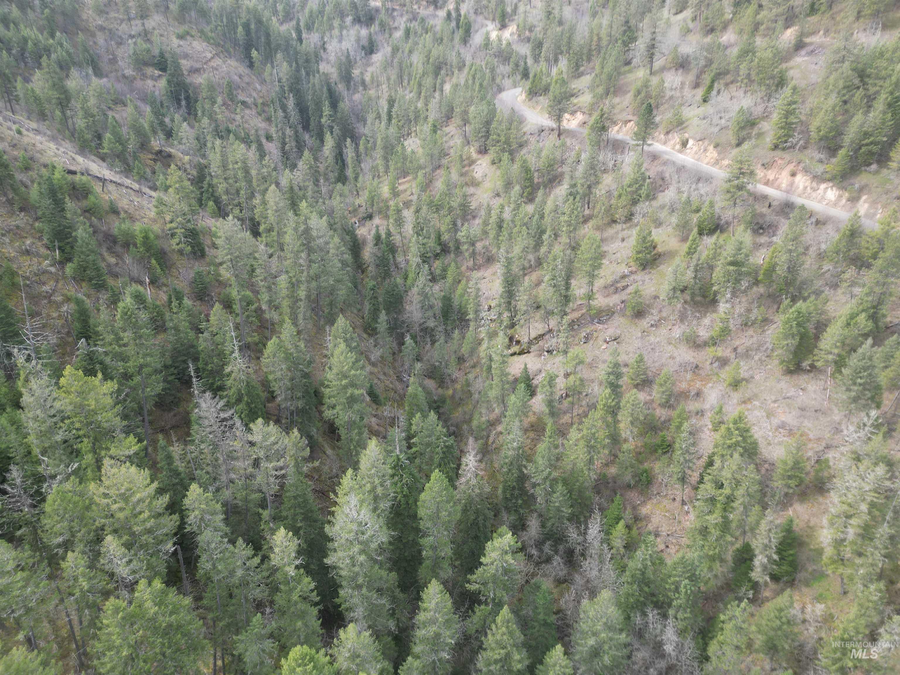 Tbd Highway 12 Property Photo 9