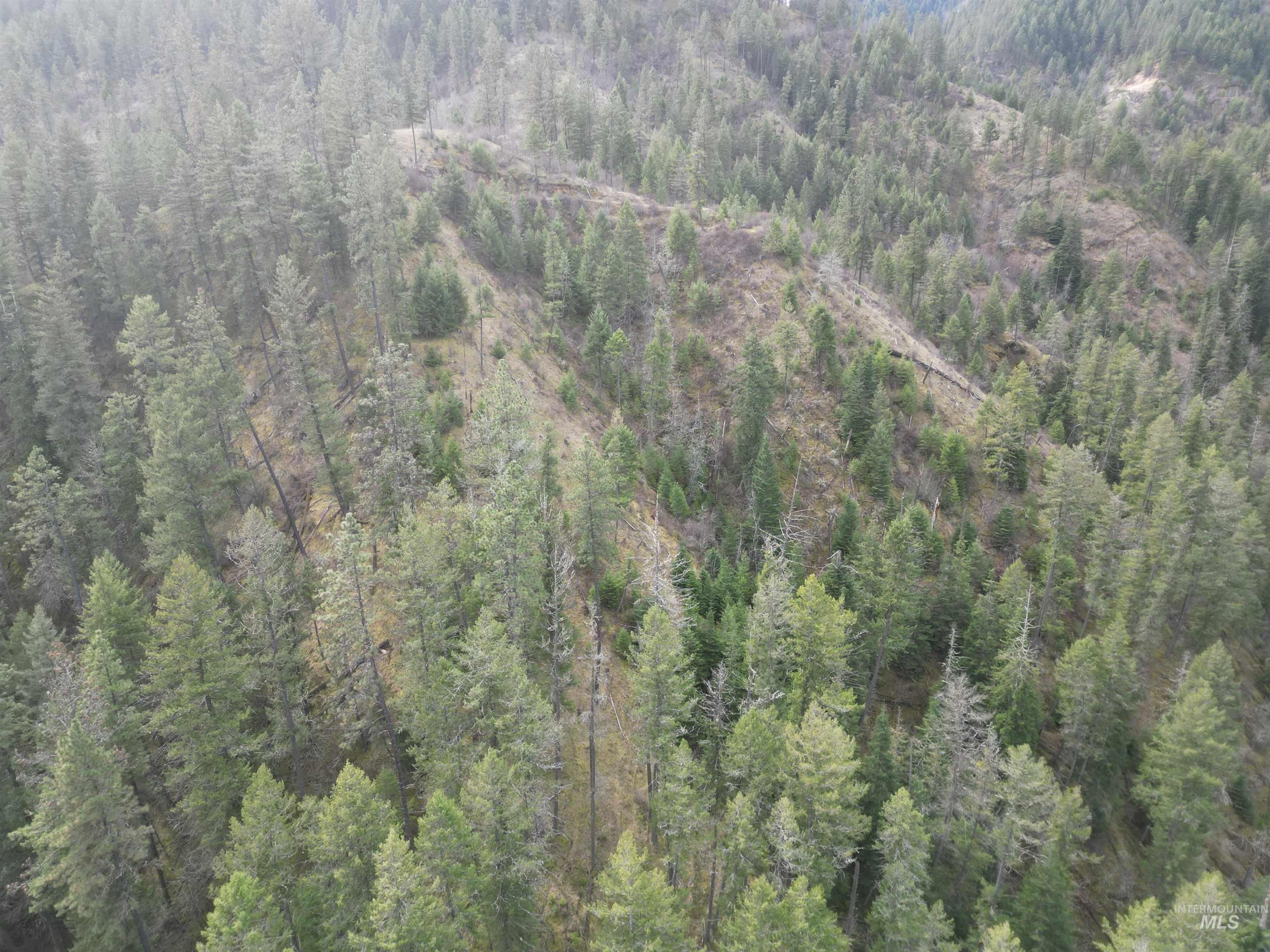 Tbd Highway 12 Property Photo 10