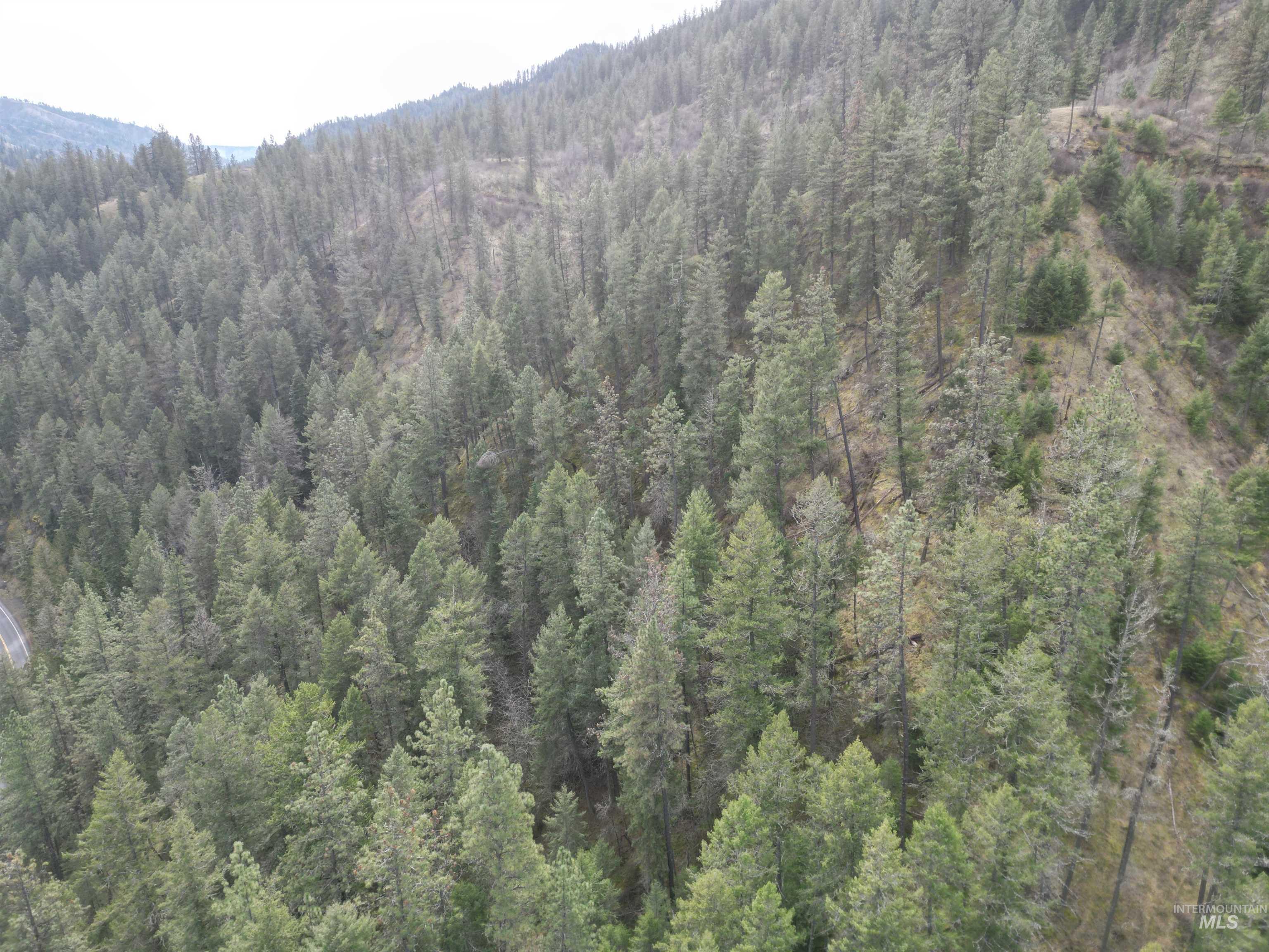 Tbd Highway 12 Property Photo 11
