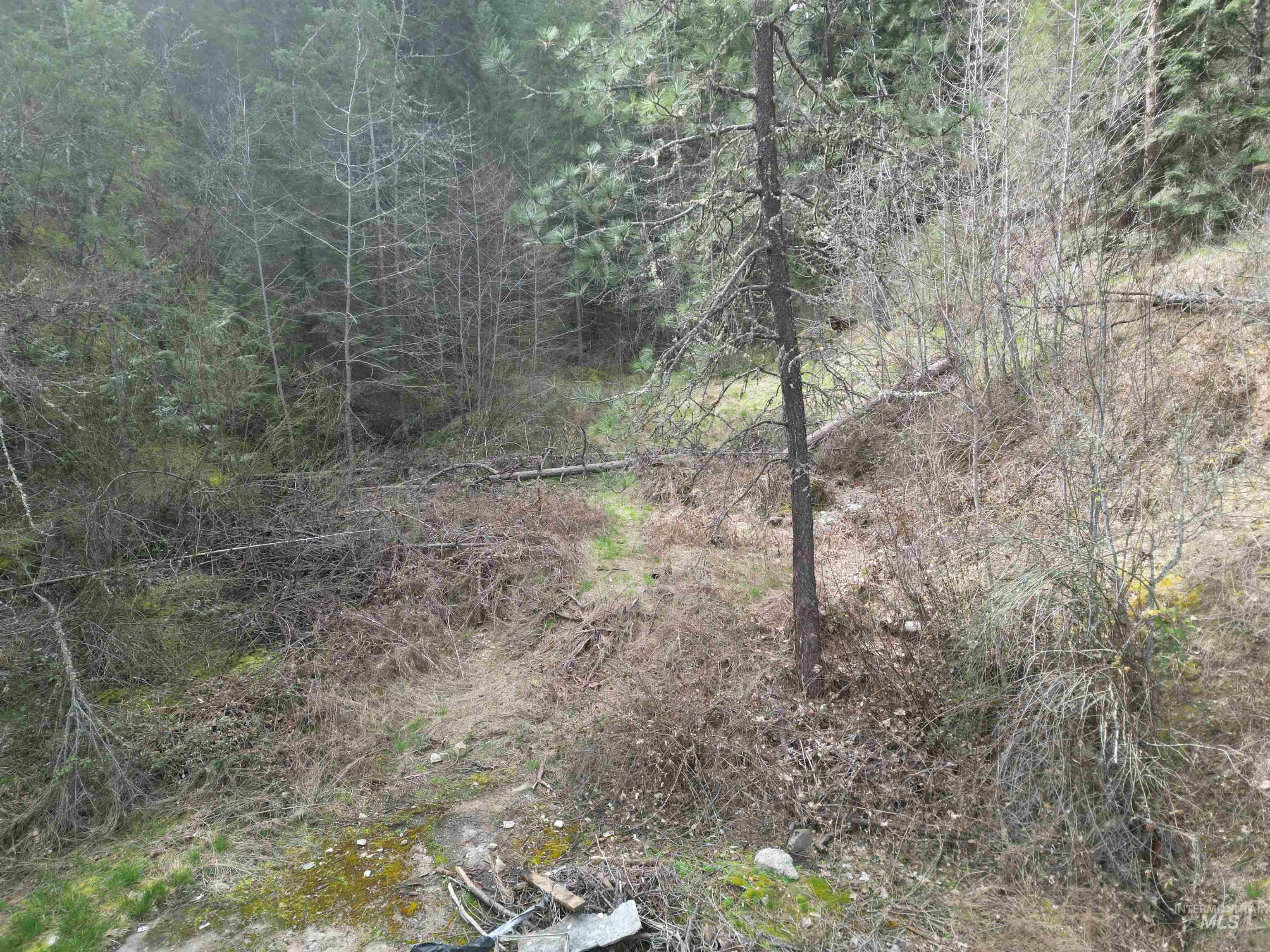 Tbd Highway 12 Property Photo 13