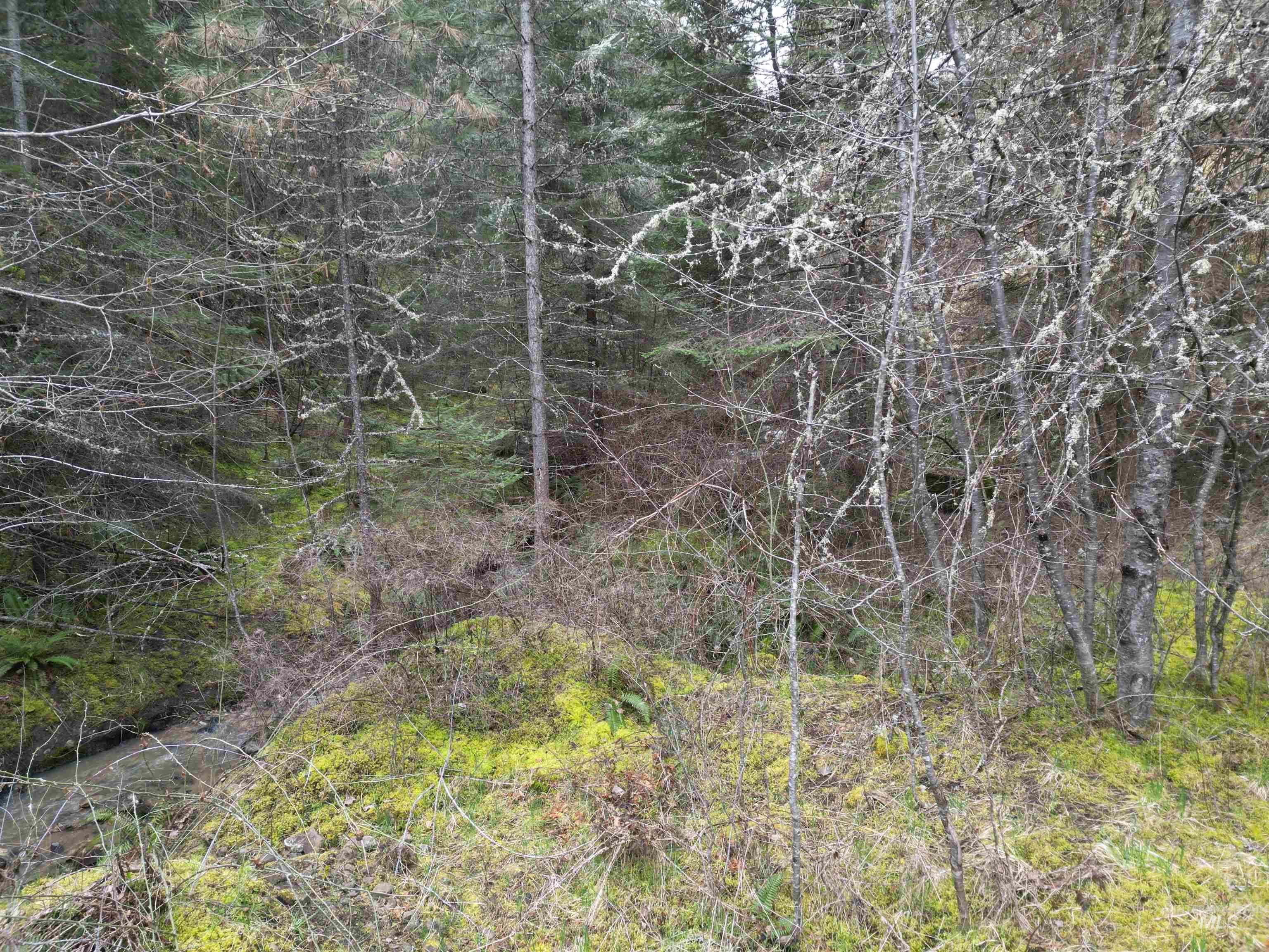 Tbd Highway 12 Property Photo 14