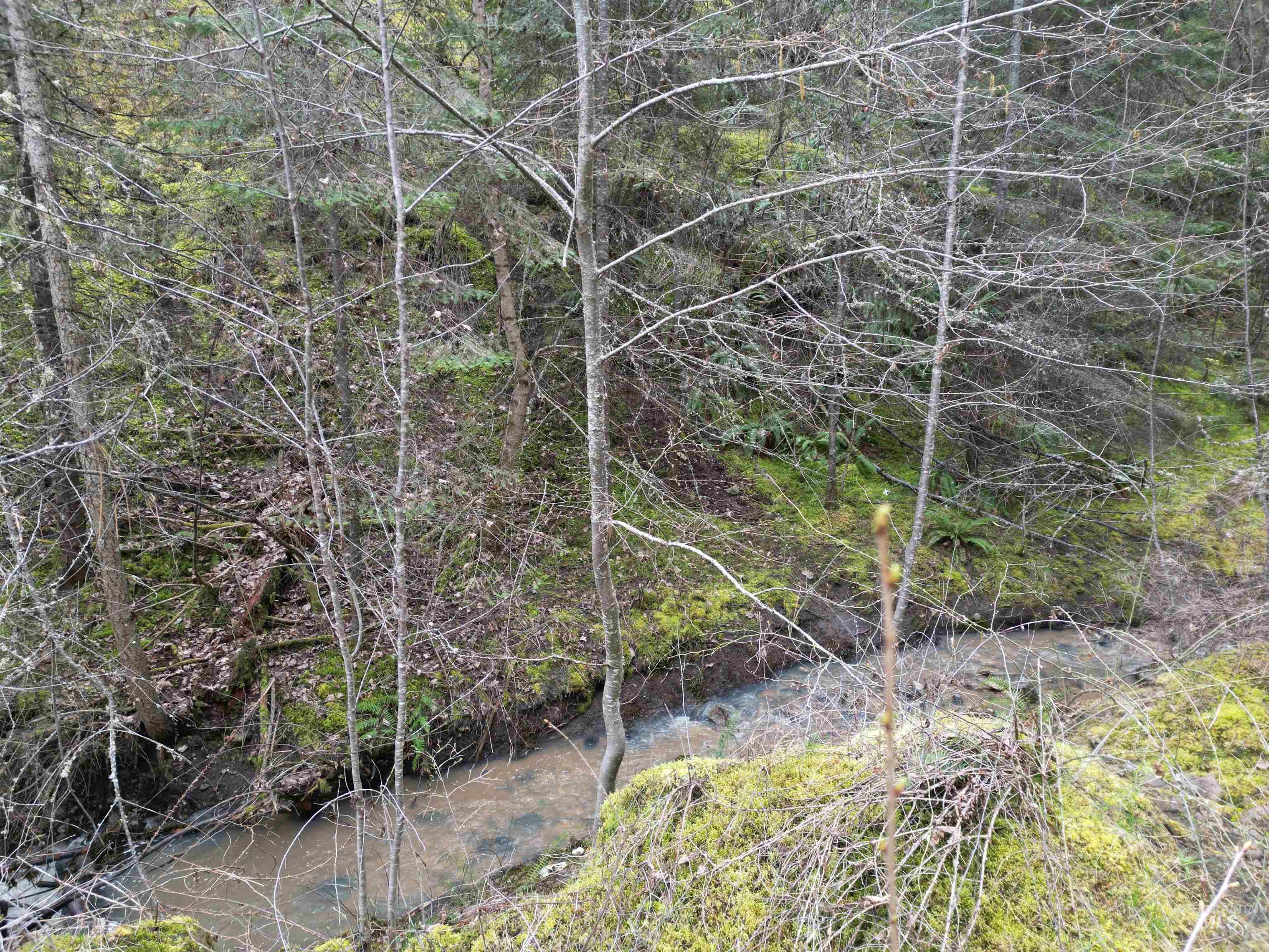 Tbd Highway 12 Property Photo 15