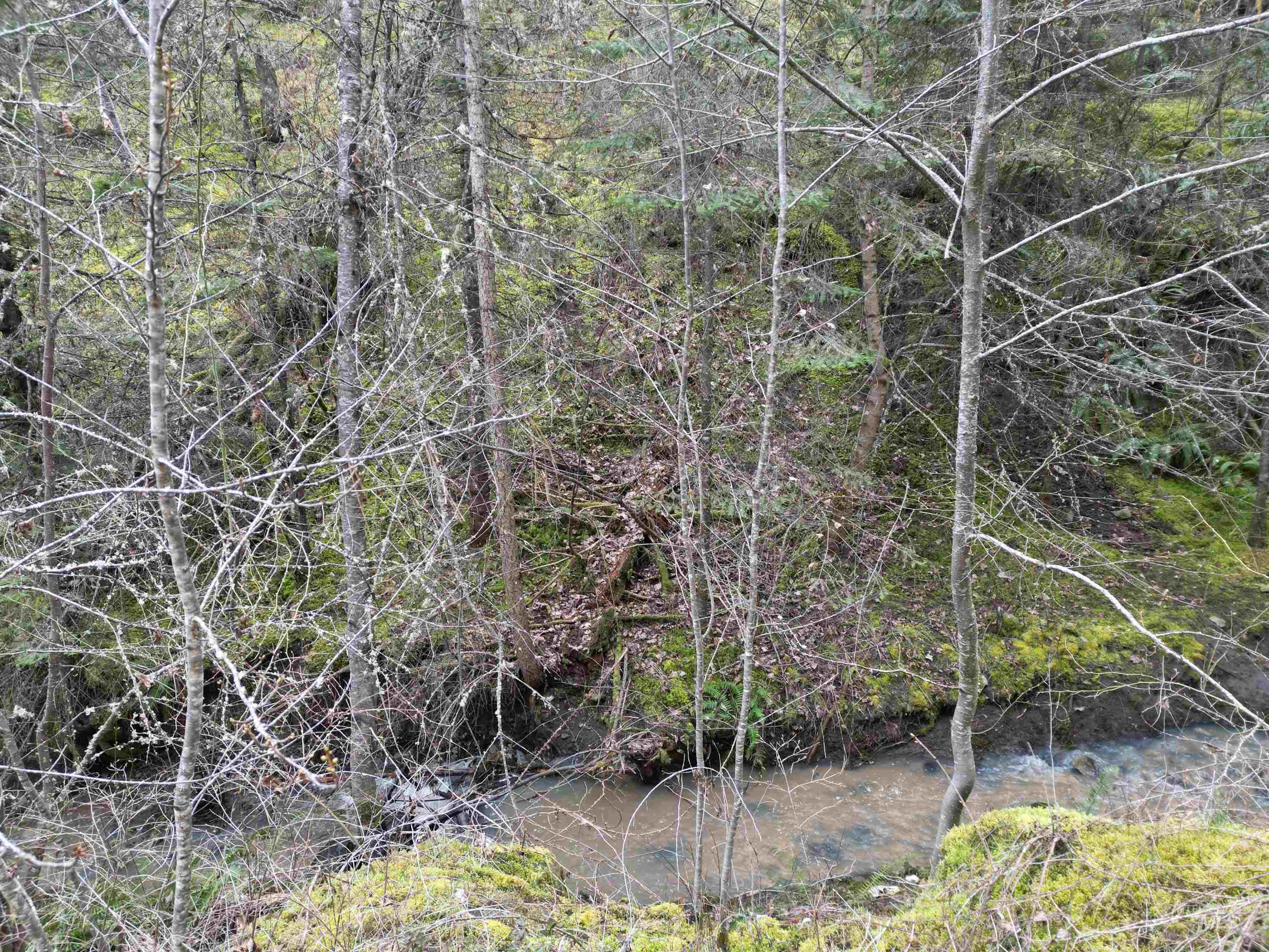 Tbd Highway 12 Property Photo 16