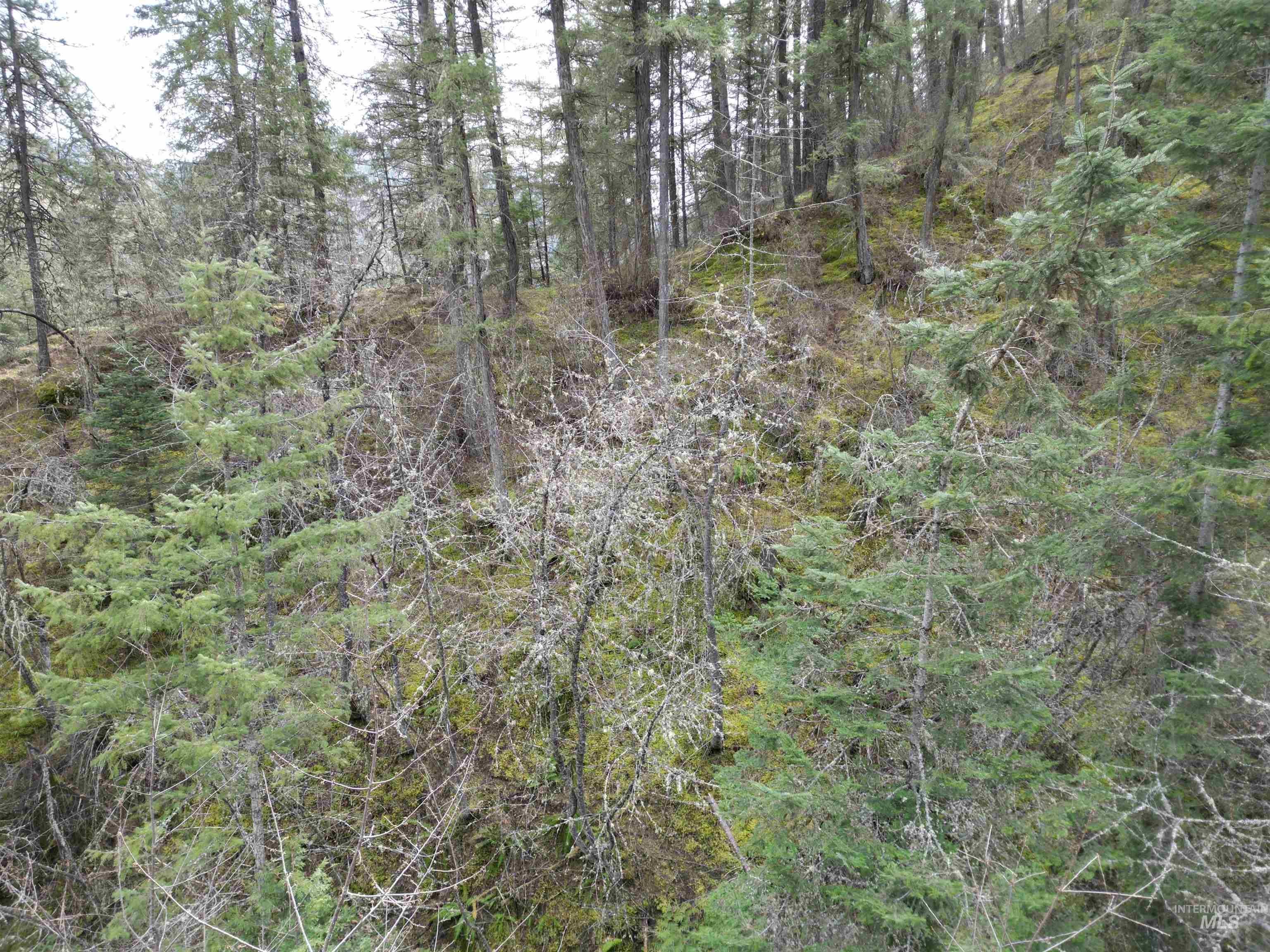 Tbd Highway 12 Property Photo 17