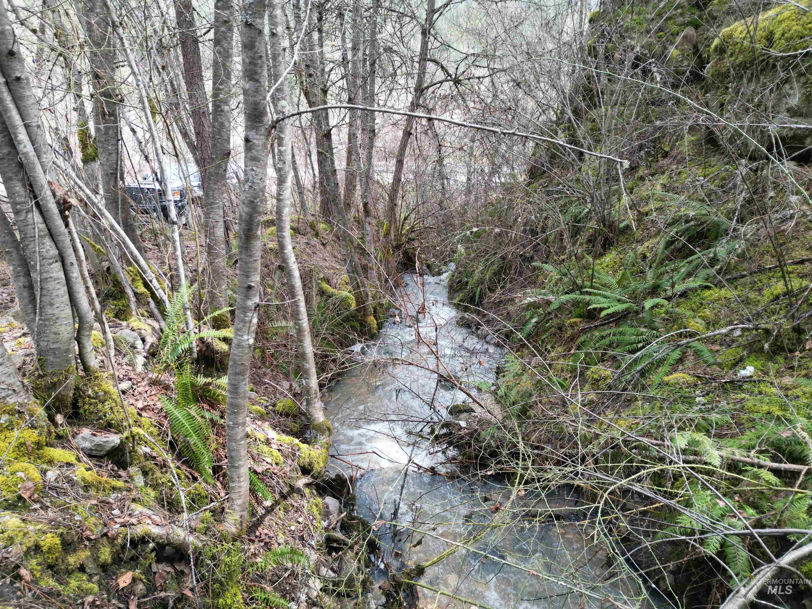 Tbd Highway 12 Property Photo 18