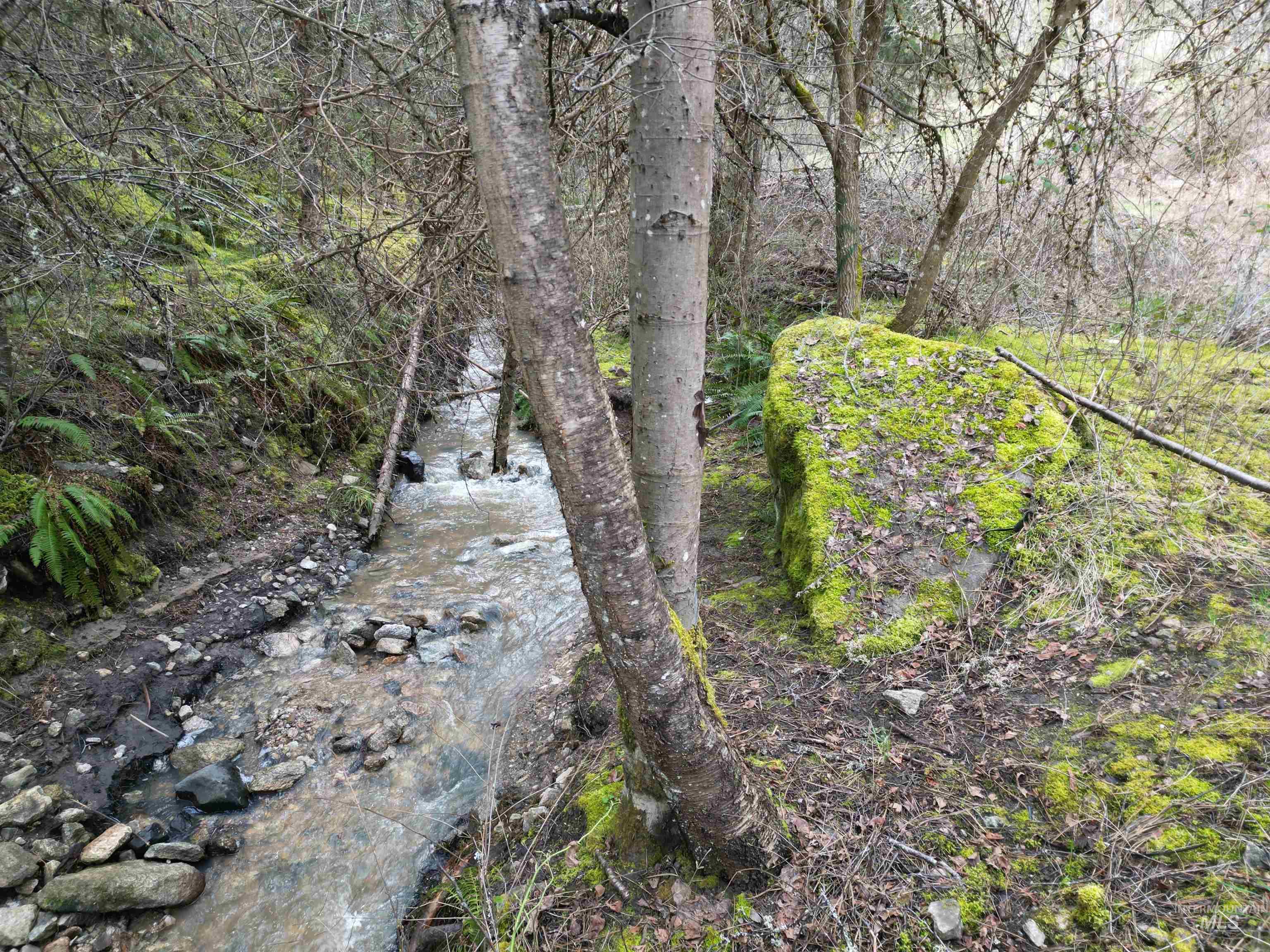 Tbd Highway 12 Property Photo 19