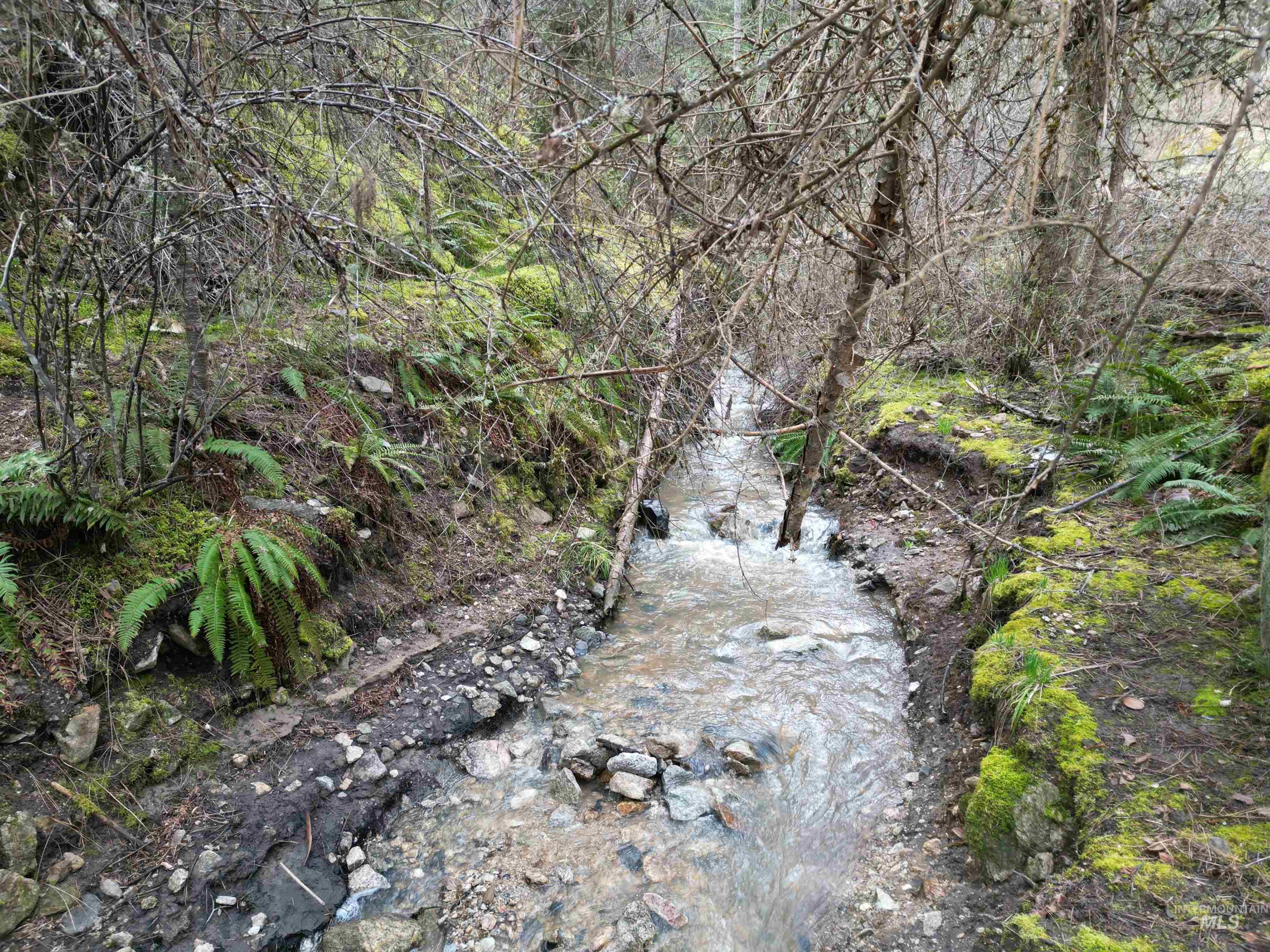 Tbd Highway 12 Property Photo 20