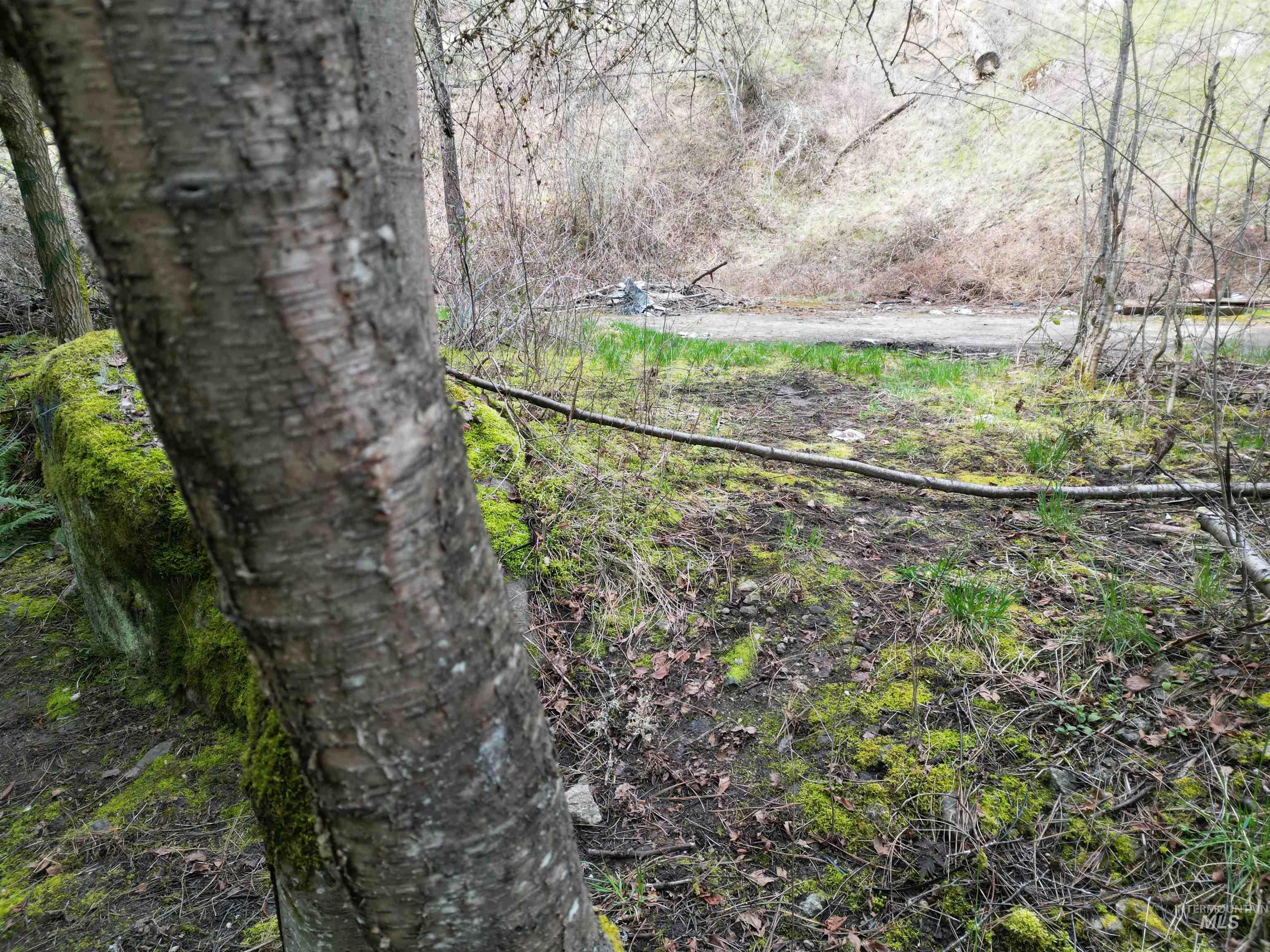 Tbd Highway 12 Property Photo 21