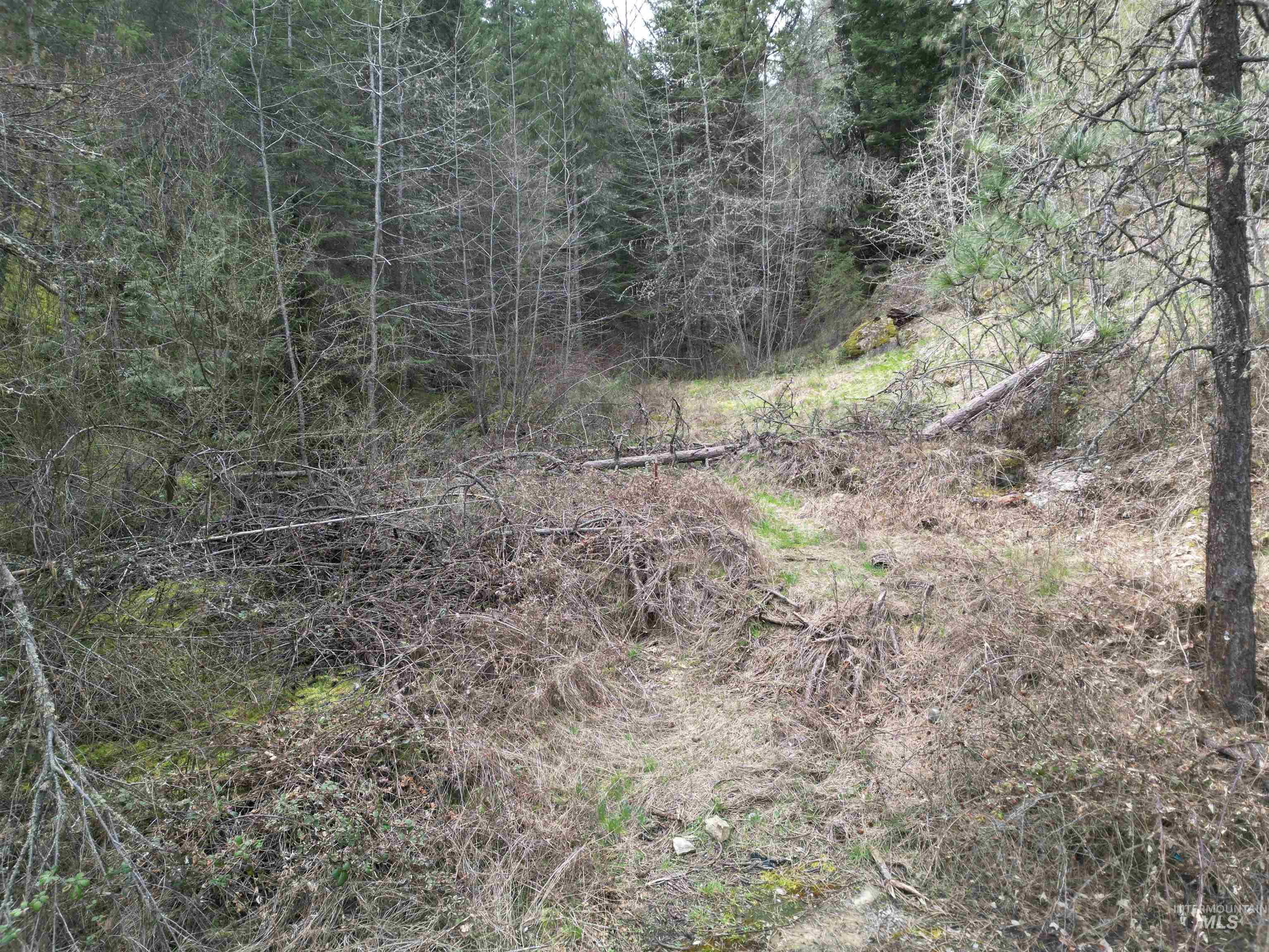 Tbd Highway 12 Property Photo 22