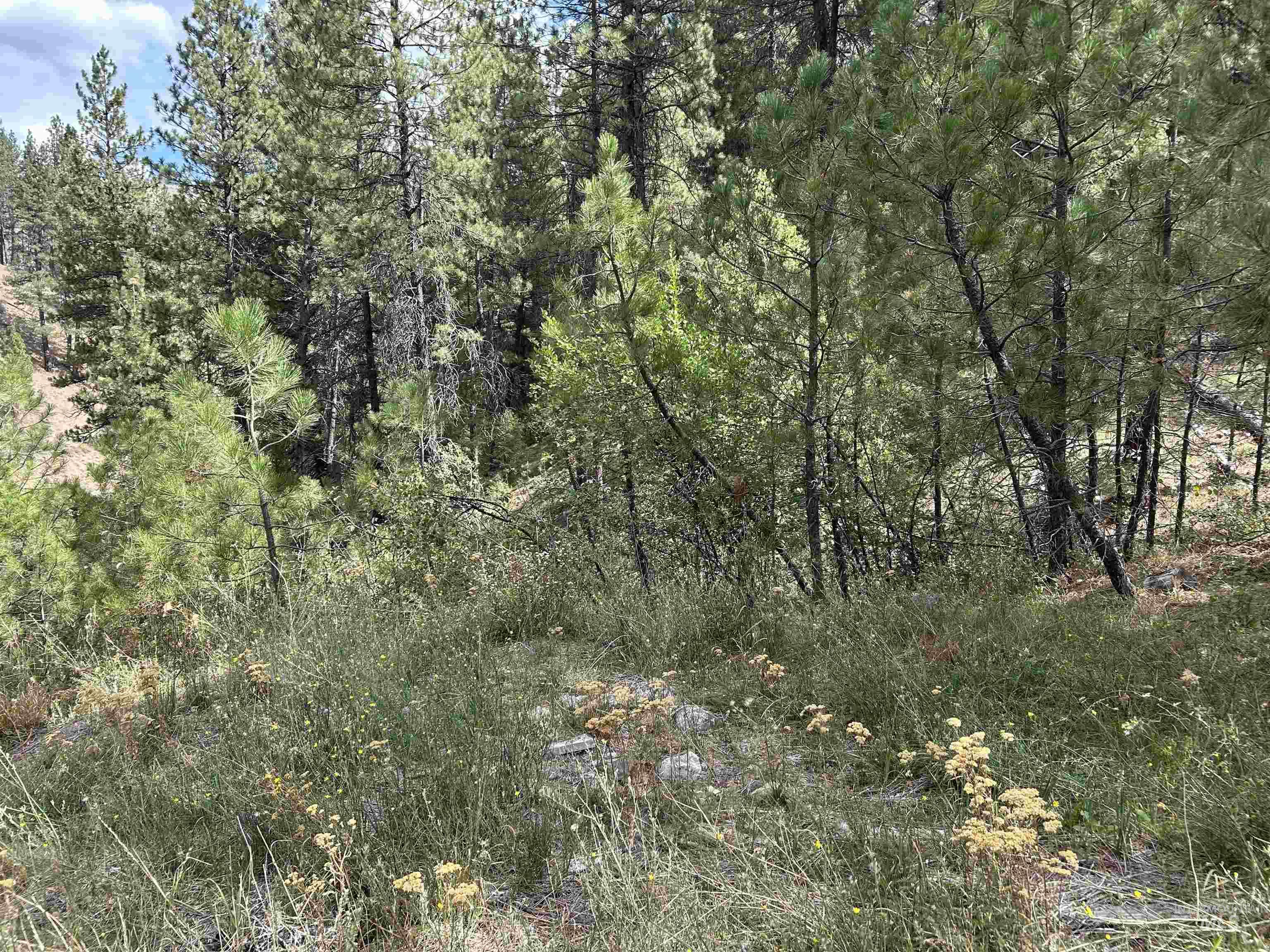 8 Klondike Road Property Photo 6