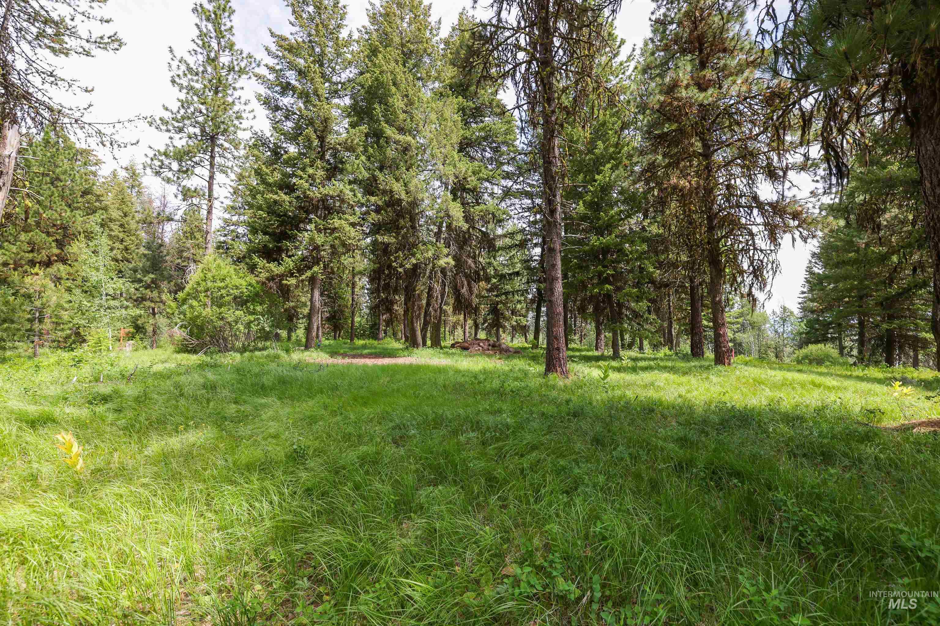 280 Blackhawk Lake Dr Property Photo 6