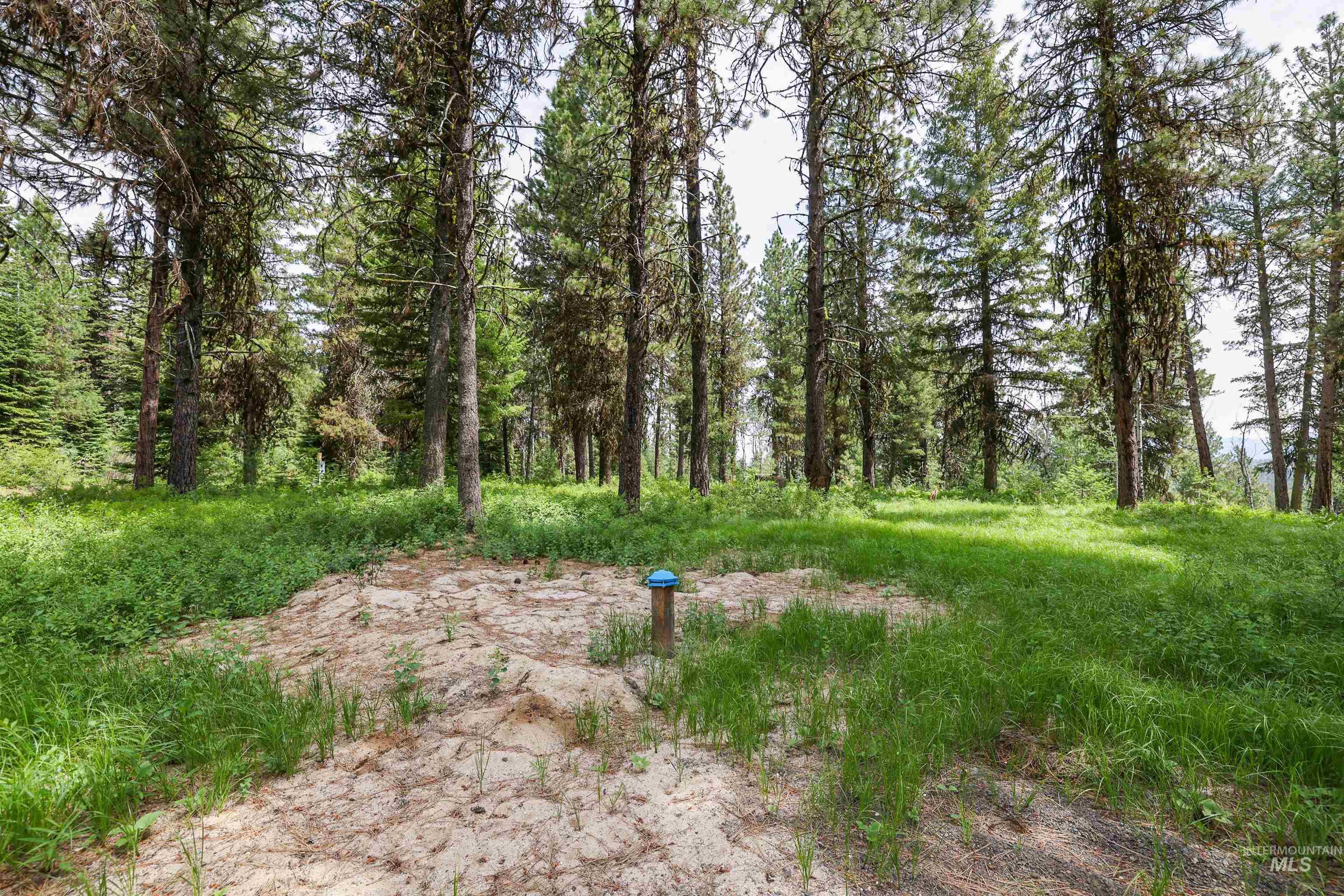 280 Blackhawk Lake Dr Property Photo 11