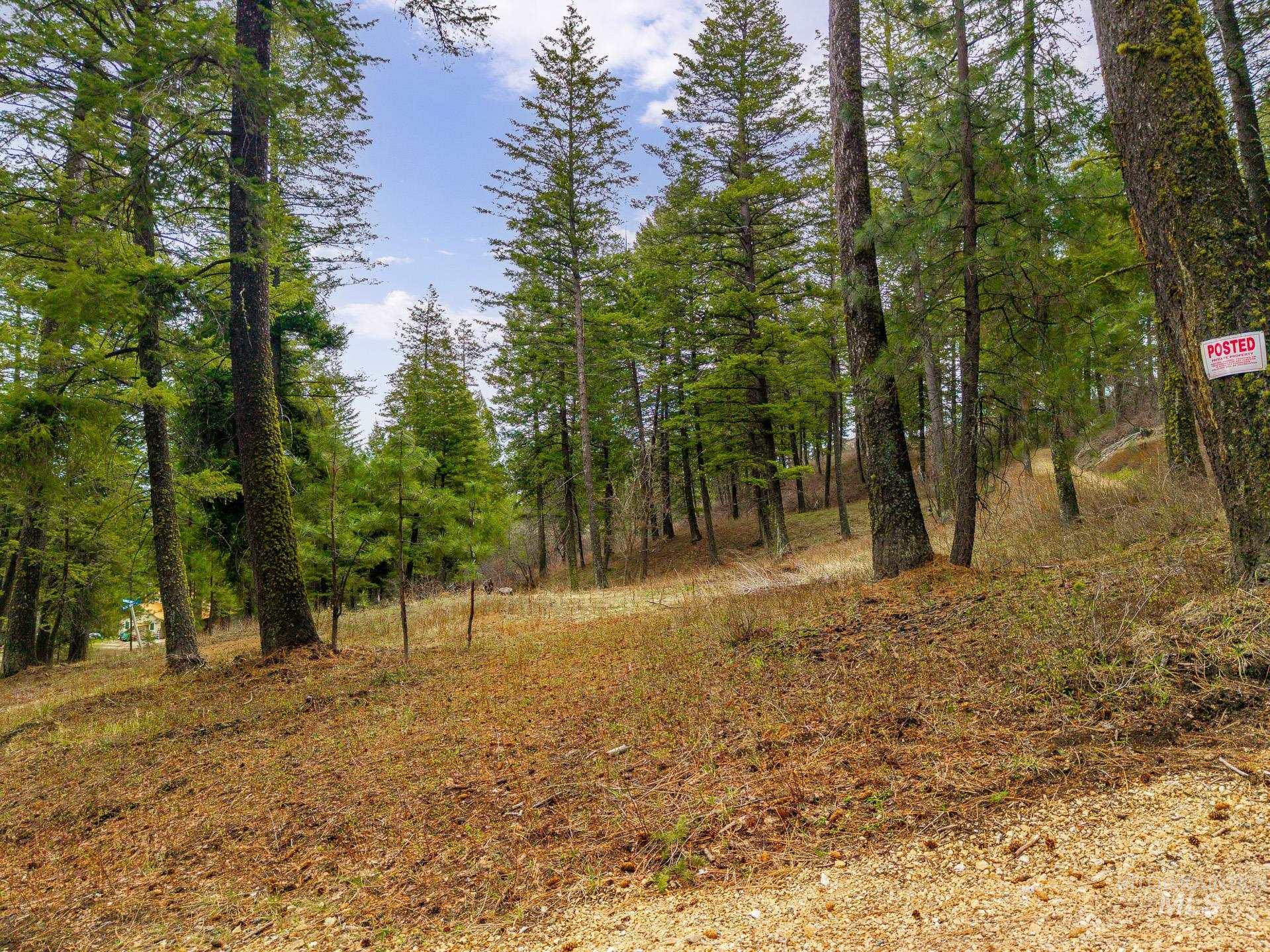 Tbd Bumble Bee Rd. Property Photo 6