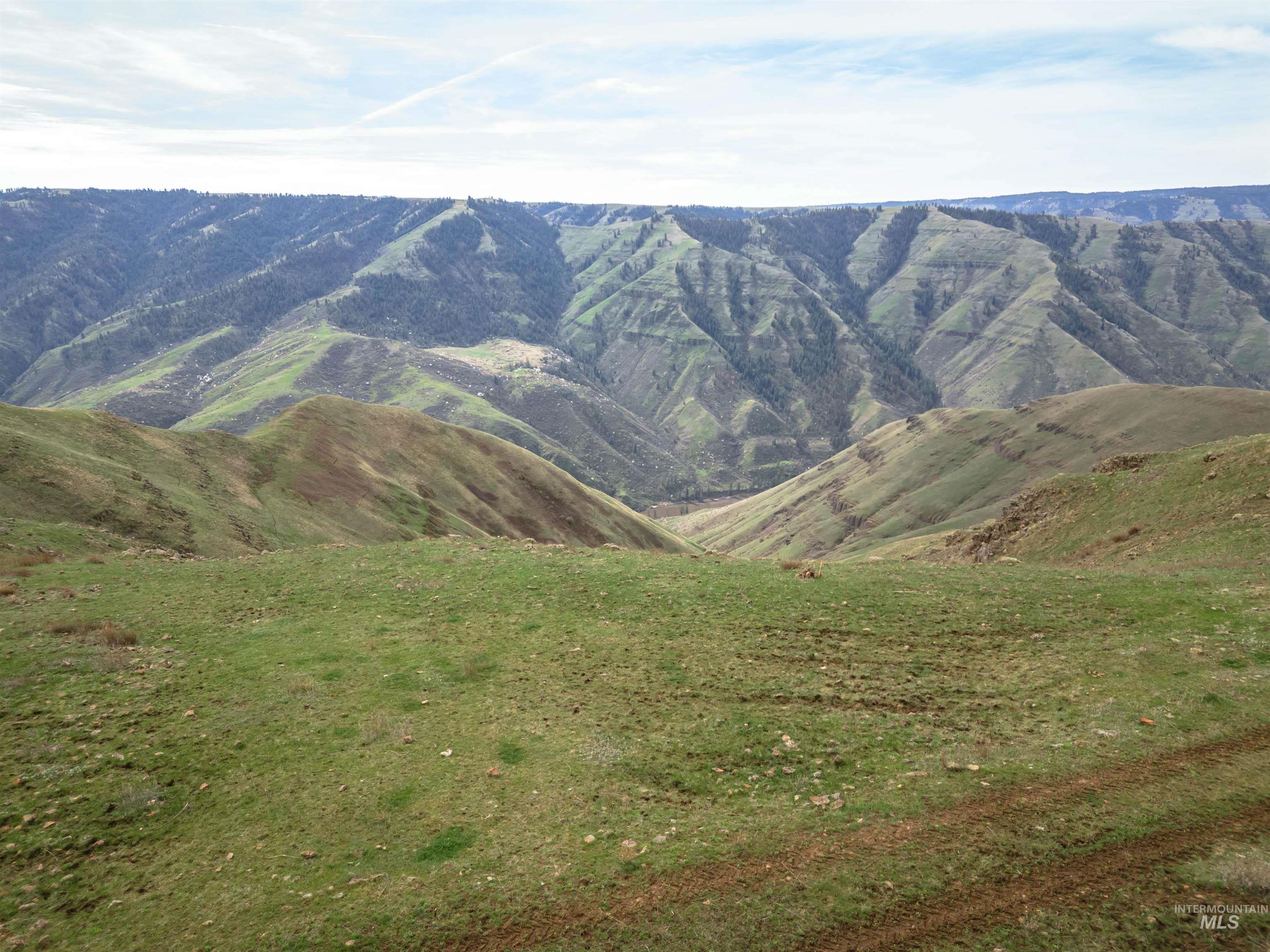 Lot 1 Salmon River Canyon Estates Property Photo 2