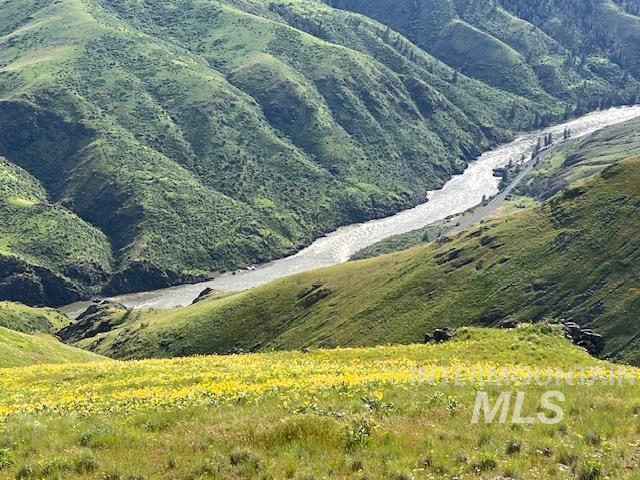 Lot 1 Salmon River Canyon Estates Property Photo 17