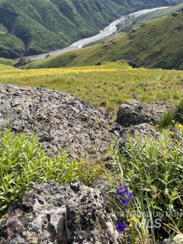 Lot 1 Salmon River Canyon Estates Property Photo 19