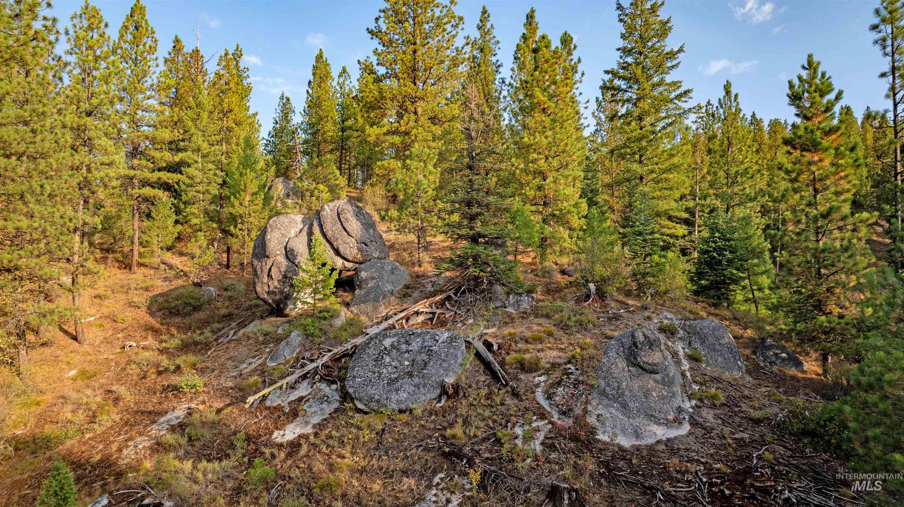 Tbd 1 Warm Lake Road Property Photo 6