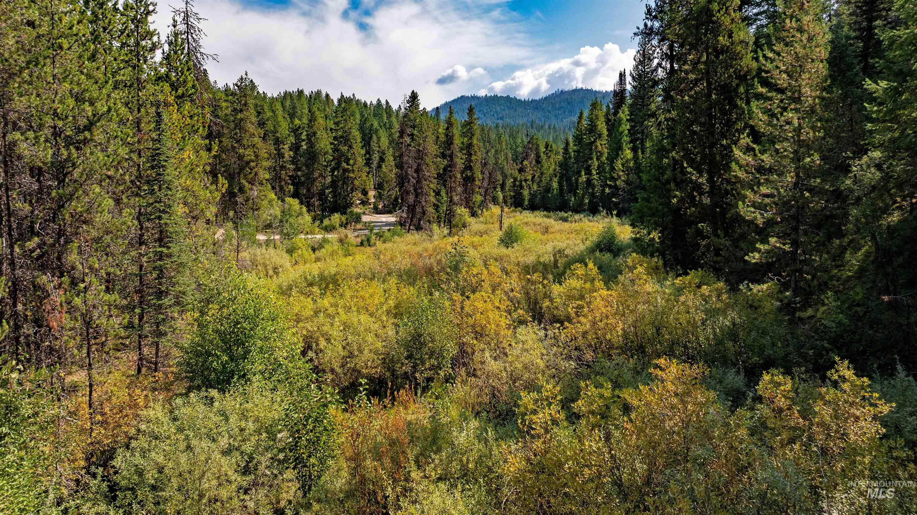 Tbd 1 Warm Lake Road Property Photo 9