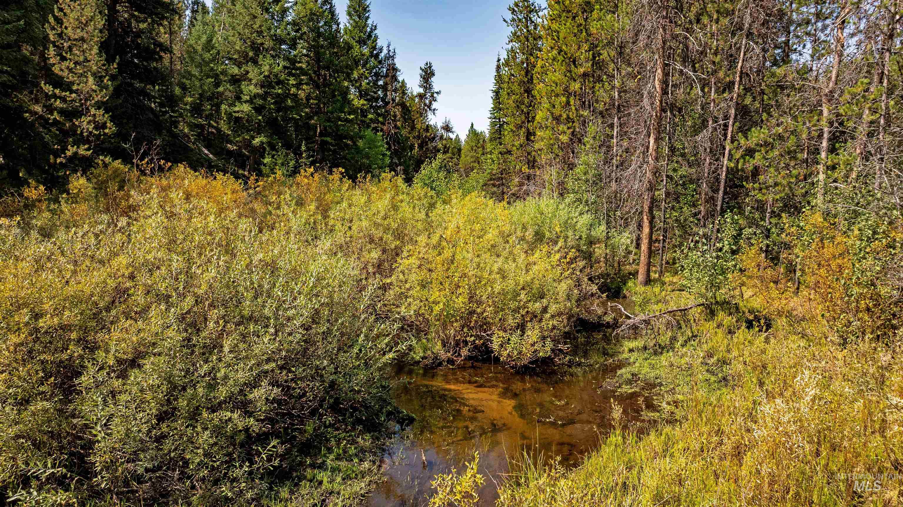Tbd 1 Warm Lake Road Property Photo 10