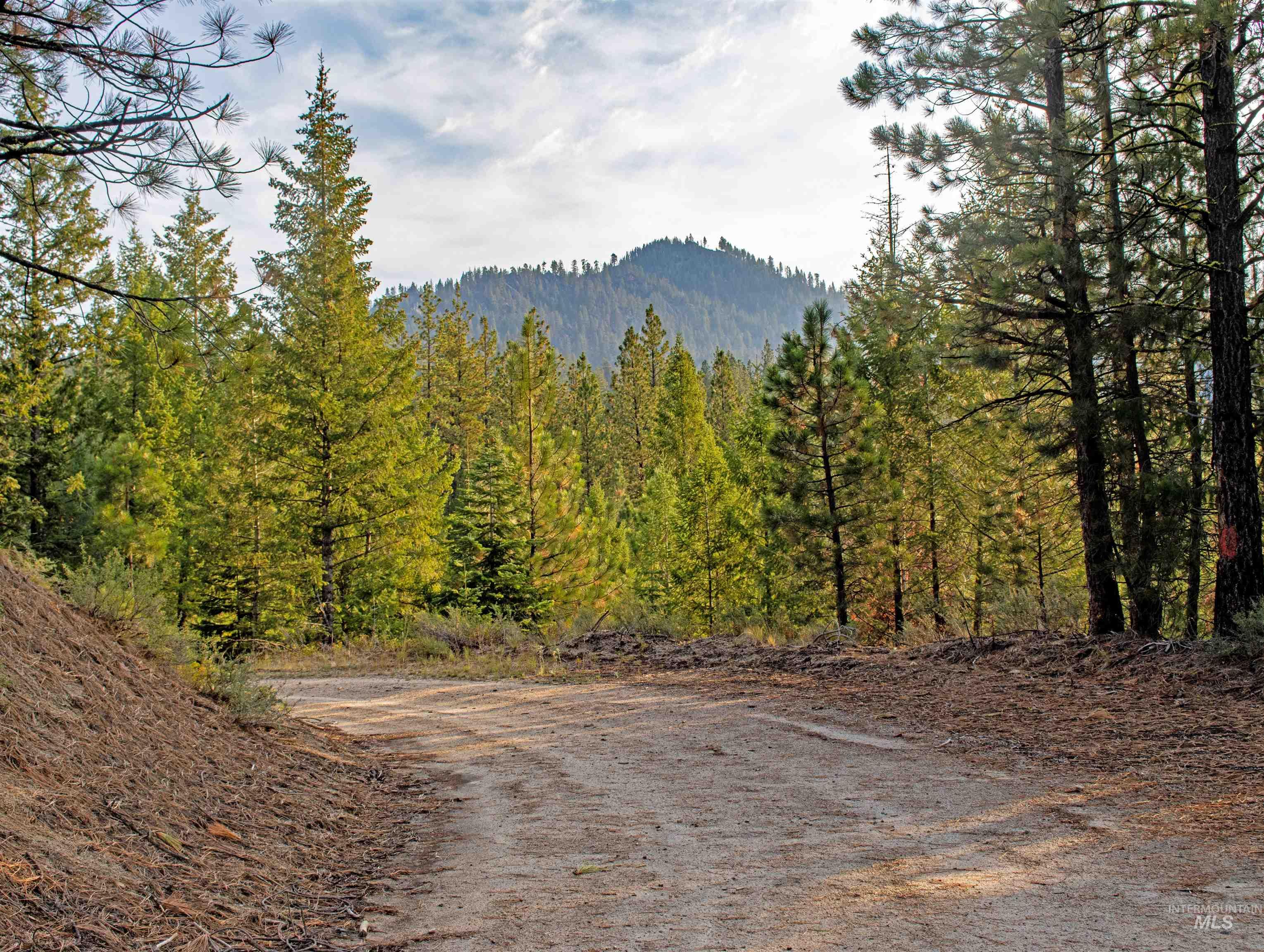 Tbd 1 Warm Lake Road Property Photo 12