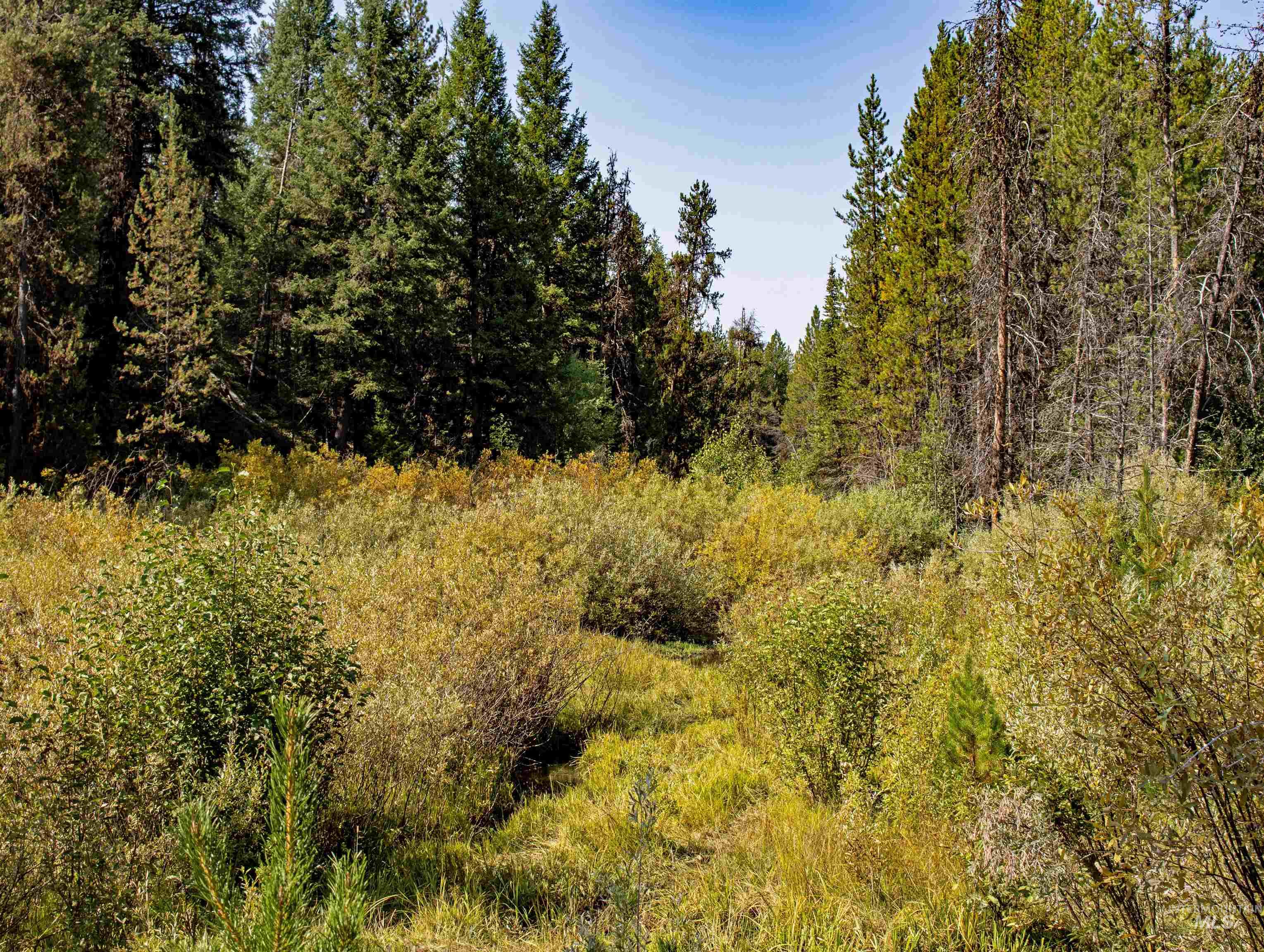 Tbd 1 Warm Lake Road Property Photo 15