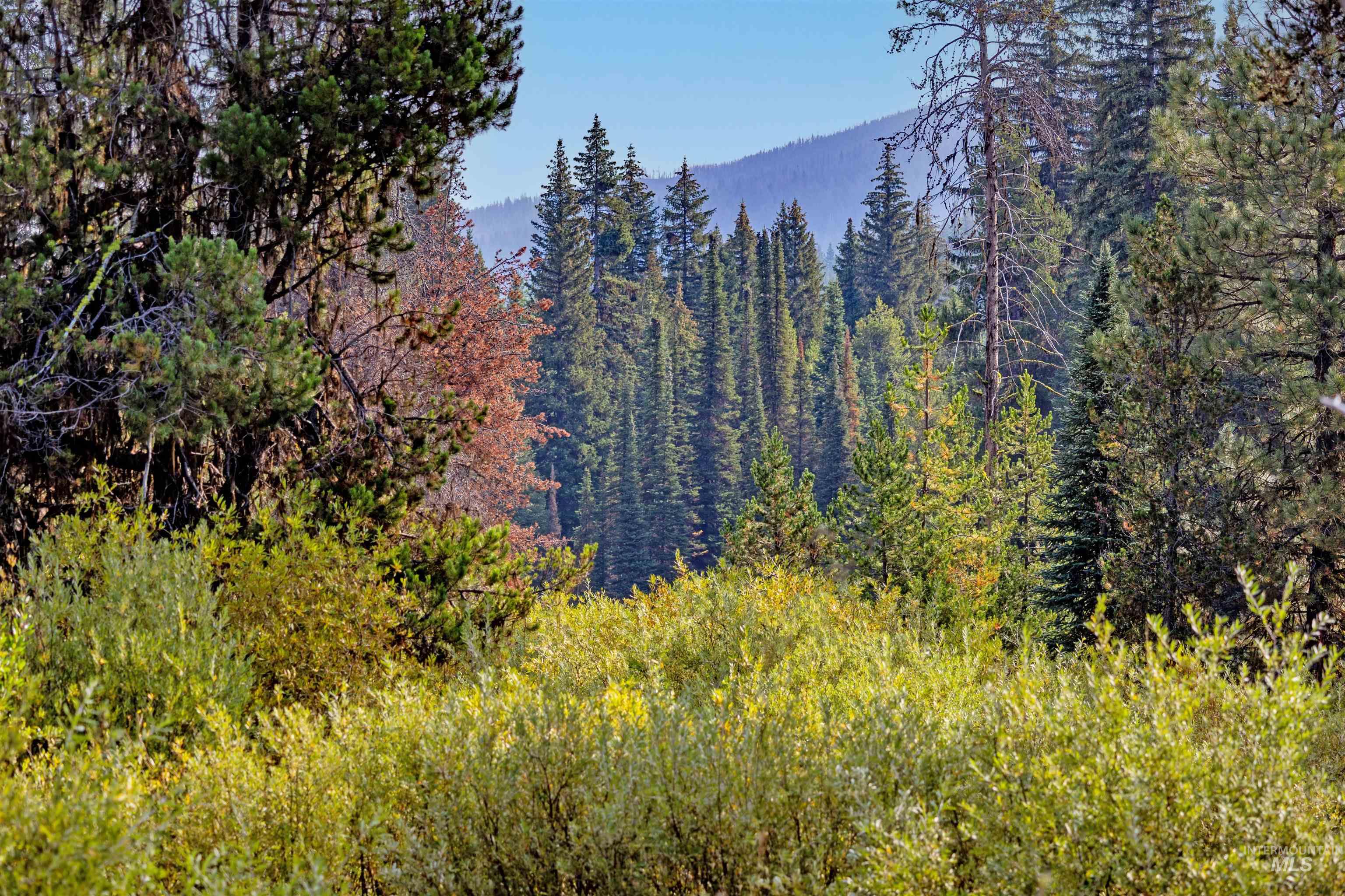 Tbd 1 Warm Lake Road Property Photo 16