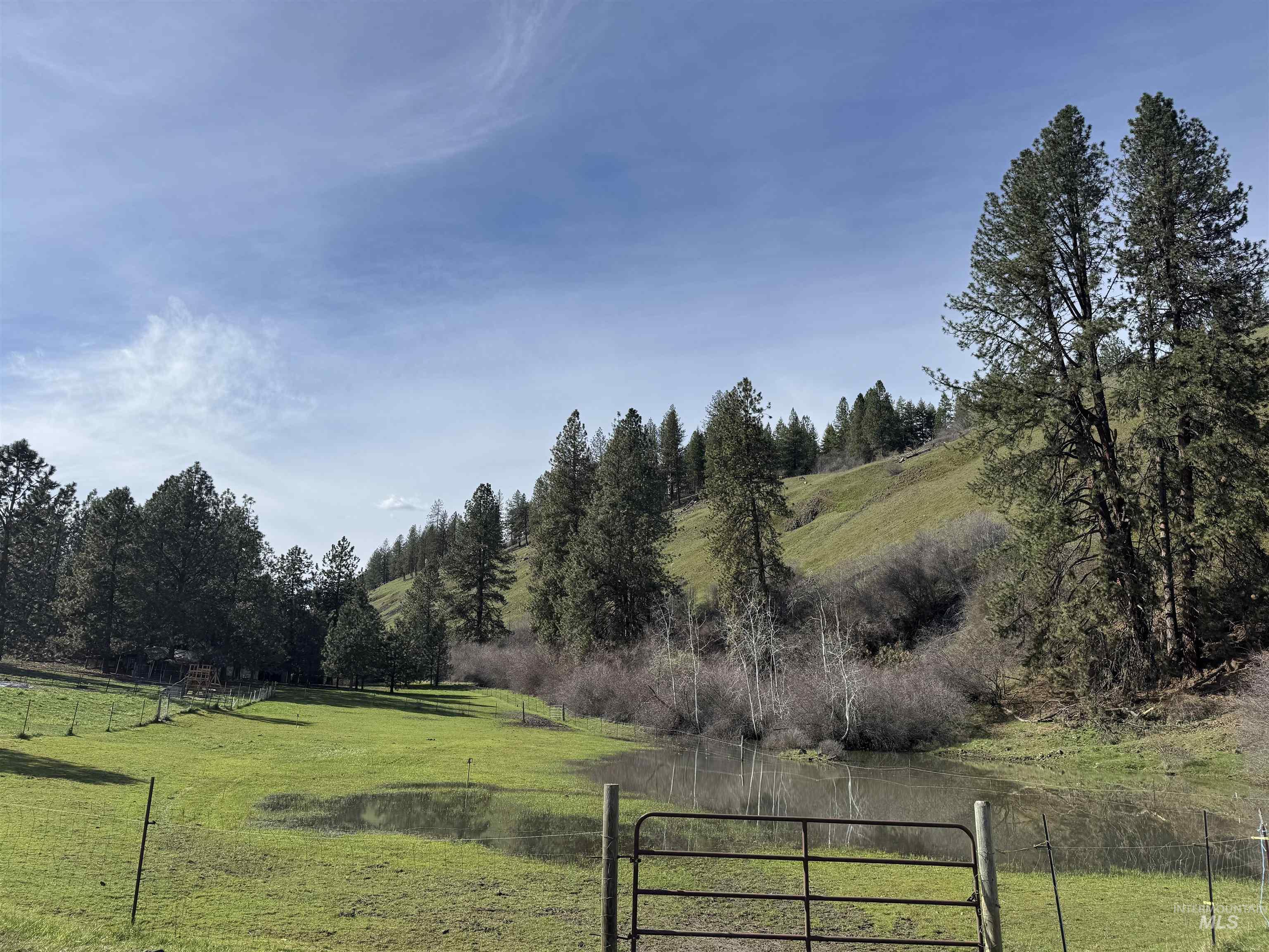 5371 Upper Fords Creek Property Photo 37