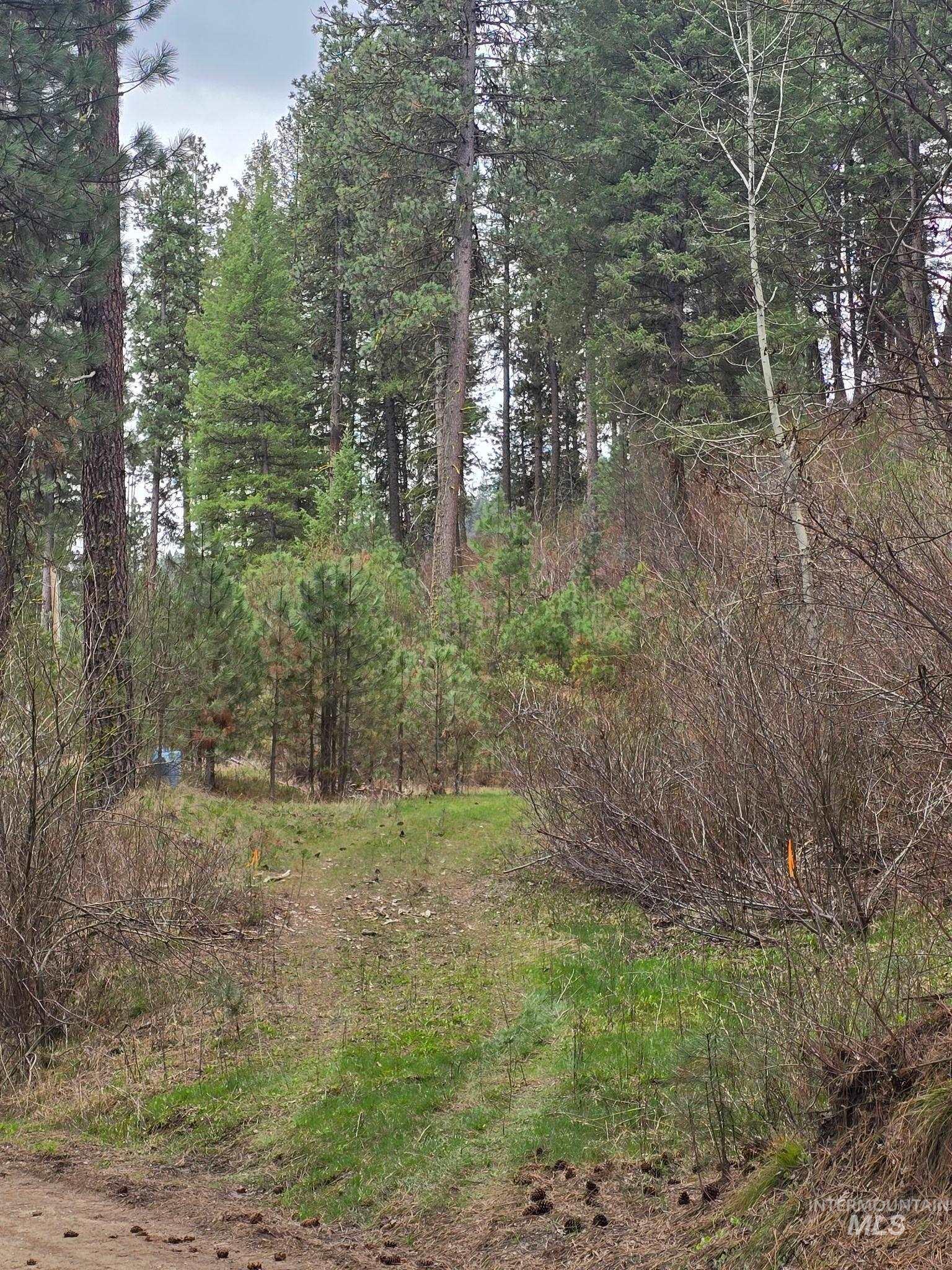 39 Beaver Creek Property Photo 1