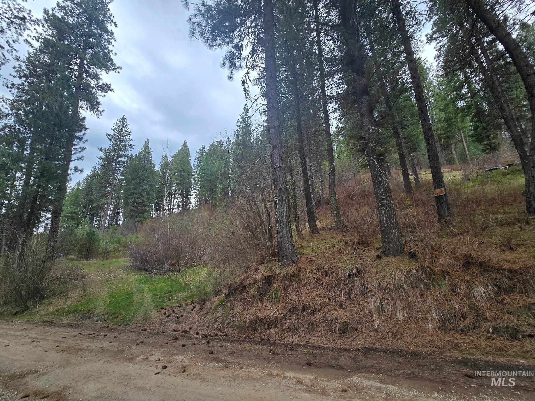39 Beaver Creek Property Photo 2