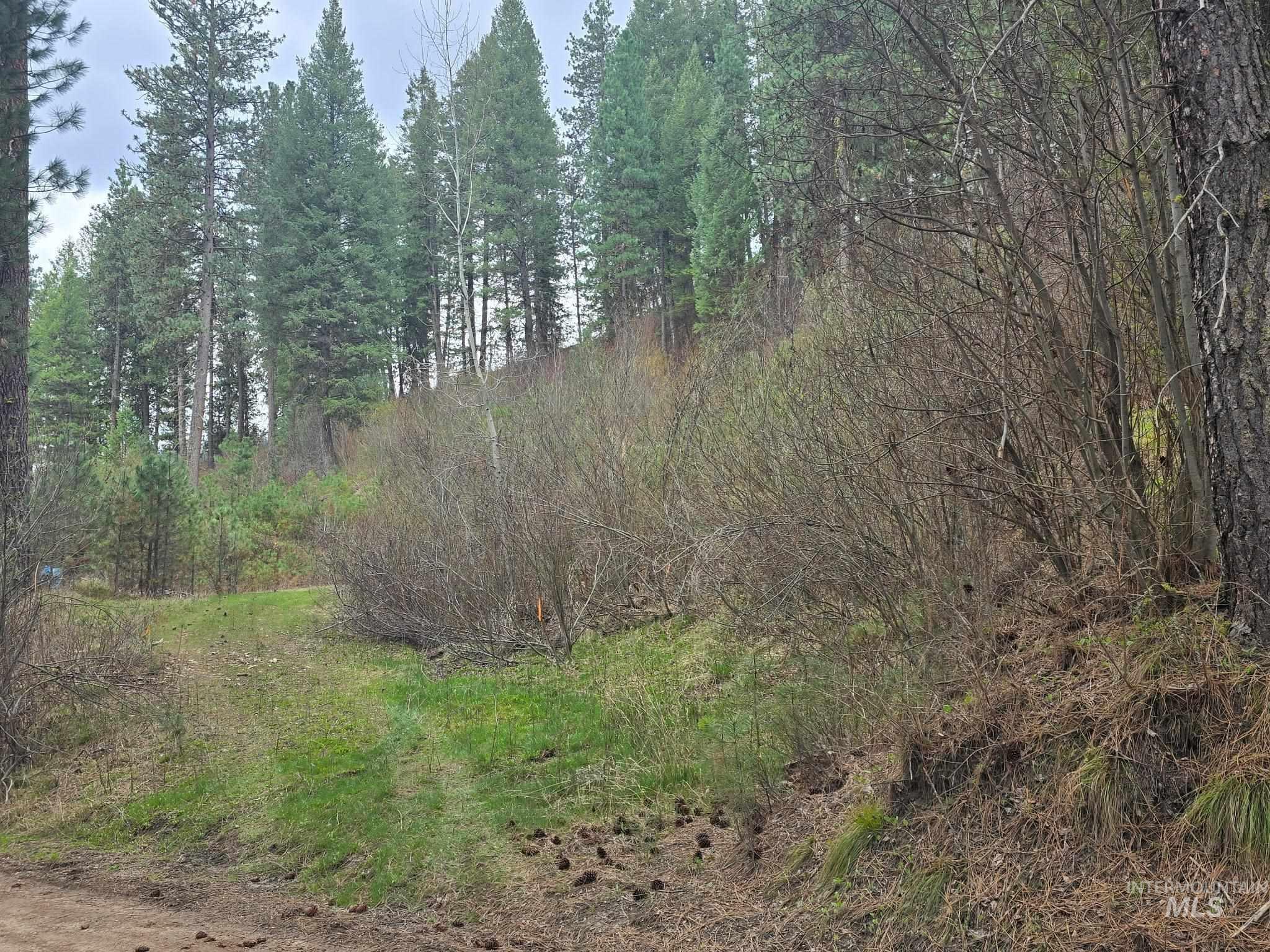 39 Beaver Creek Property Photo 3