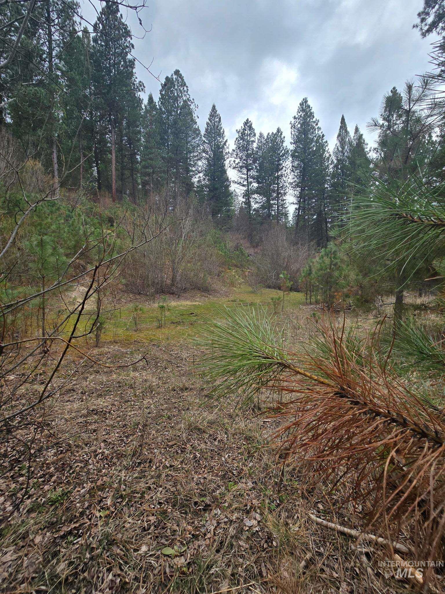 39 Beaver Creek Property Photo 4