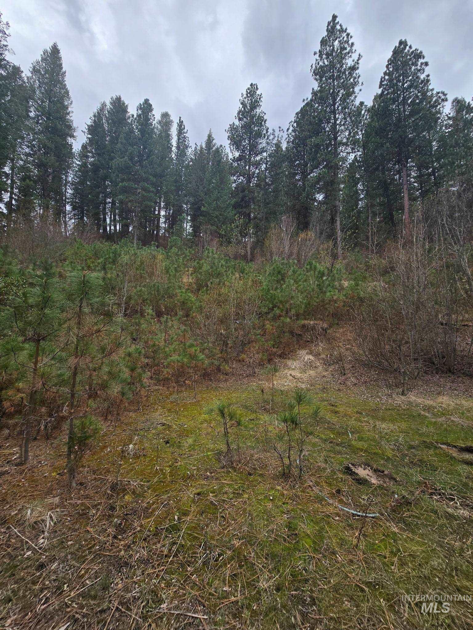 39 Beaver Creek Property Photo 5