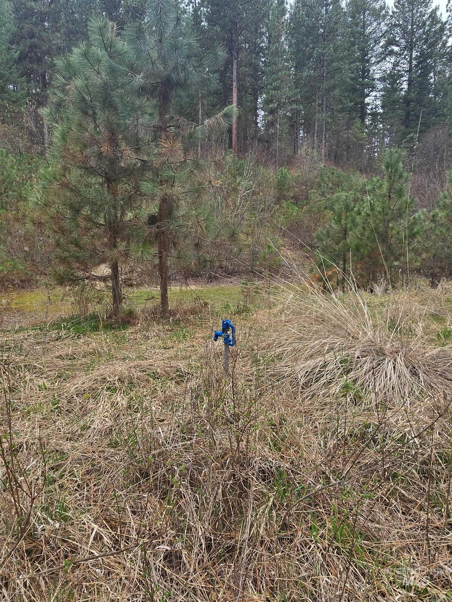 39 Beaver Creek Property Photo 6