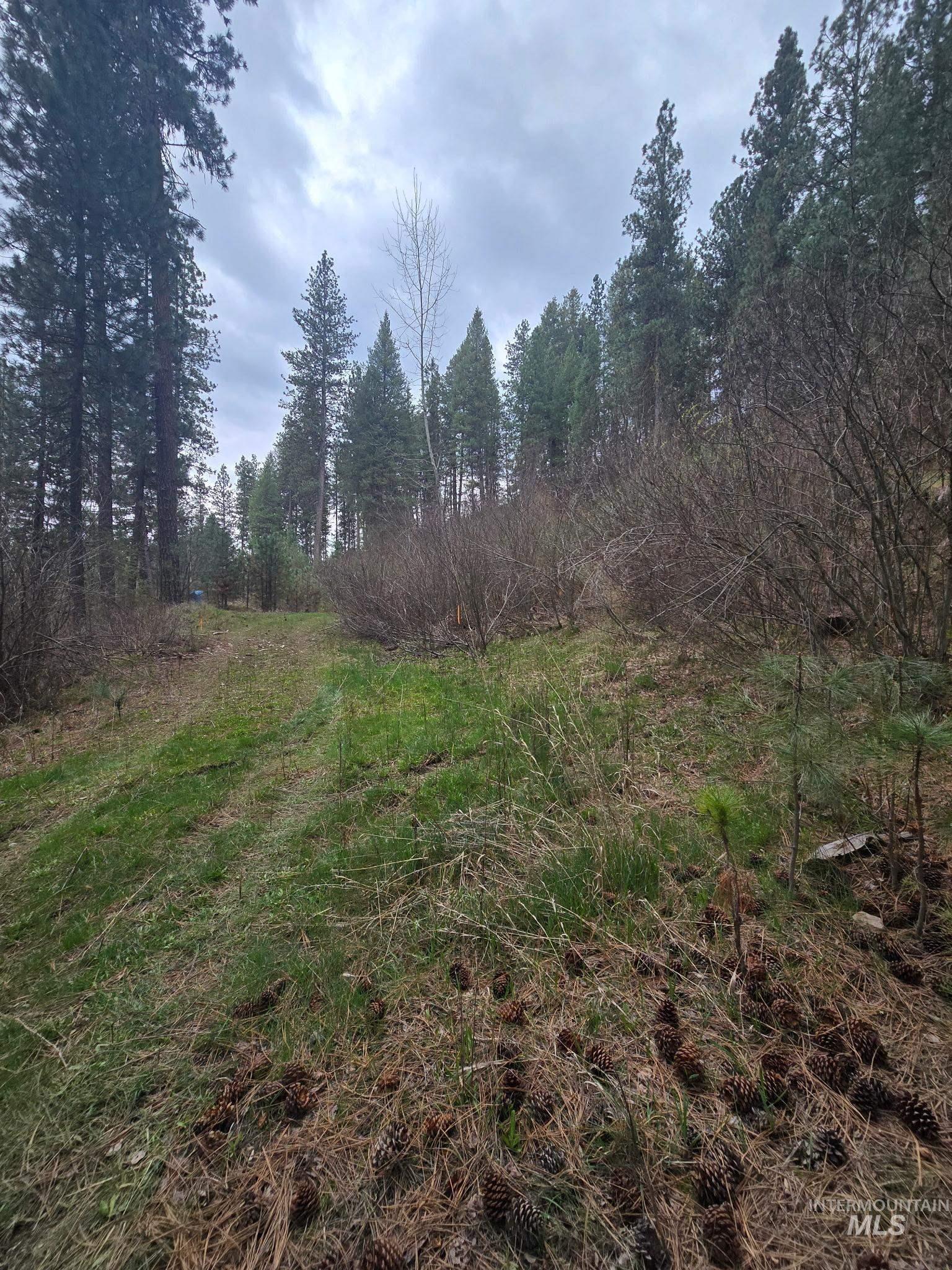 39 Beaver Creek Property Photo 9