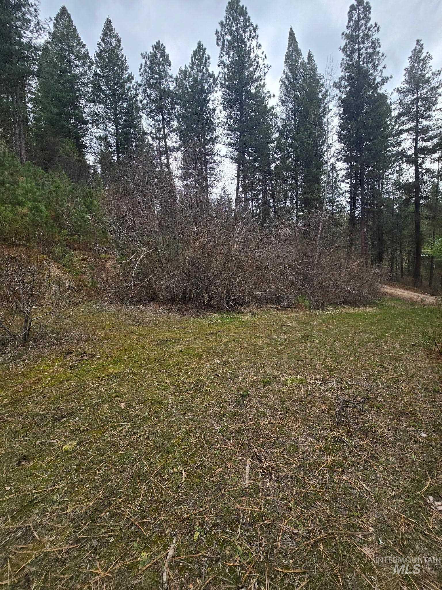 39 Beaver Creek Property Photo 10