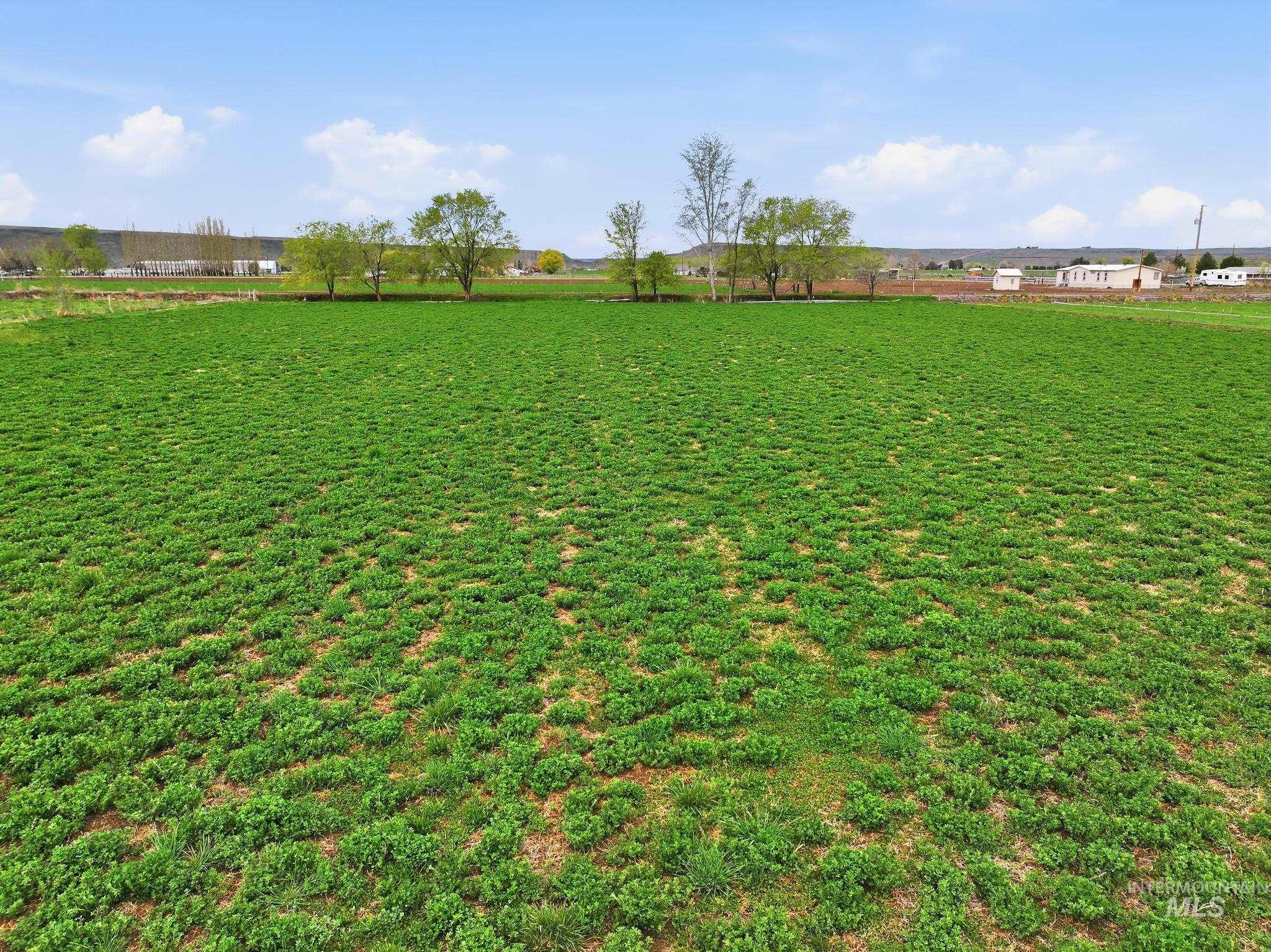 Block 1 Lot 8 S Jade Way Property Photo 14