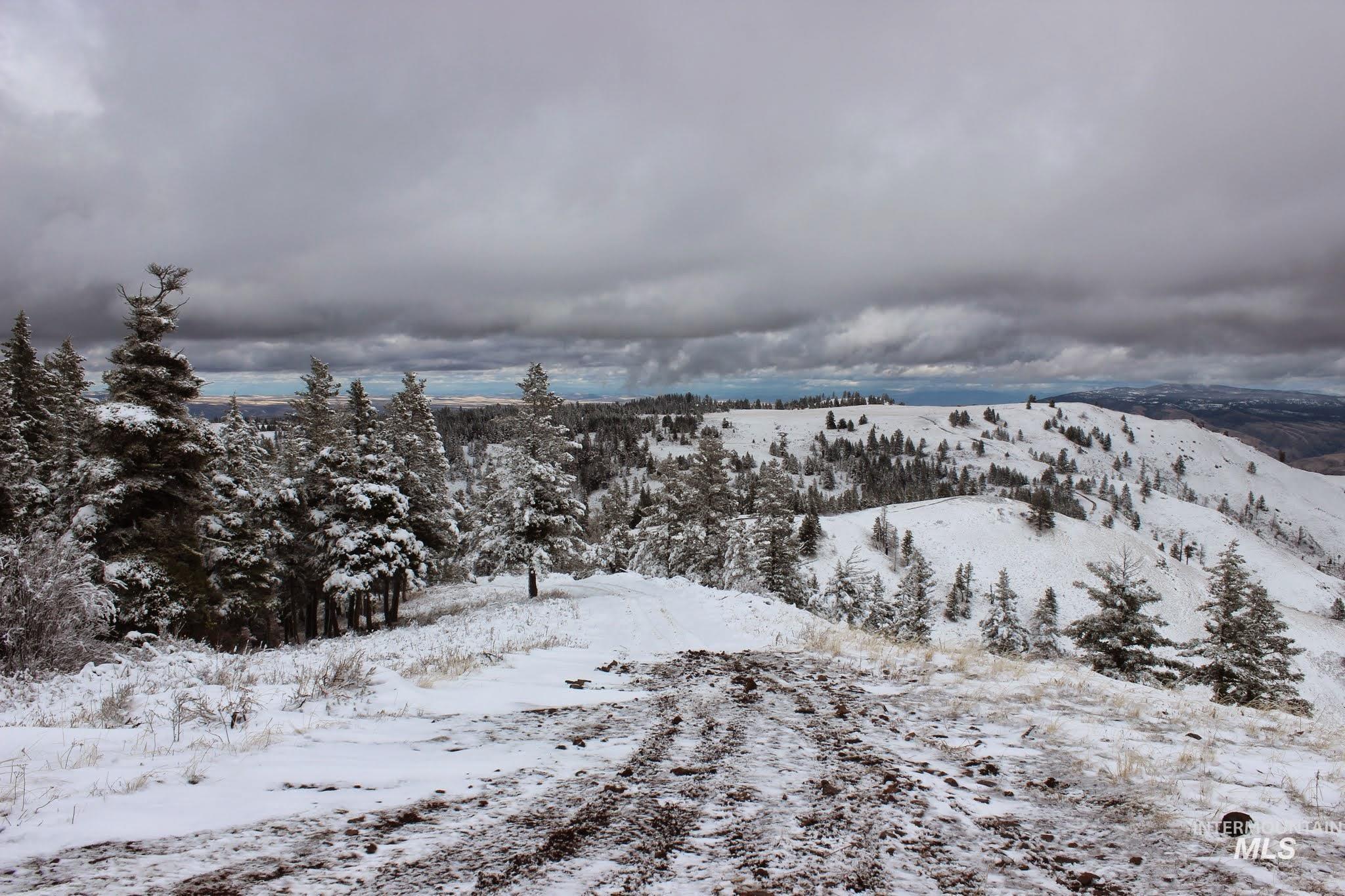 478 Deer Gulch Rd Property Photo 3