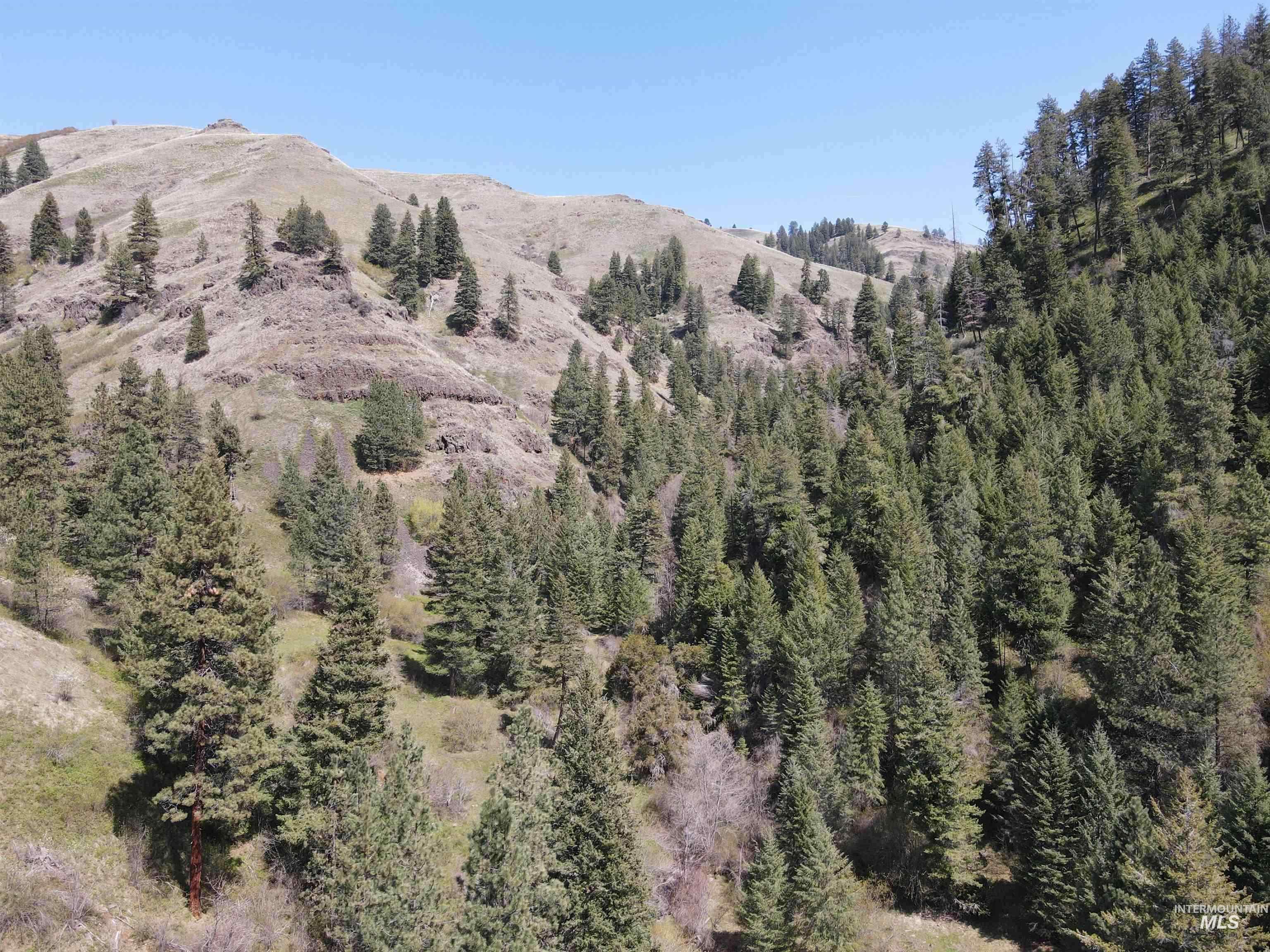 478 Deer Gulch Rd Property Photo 4