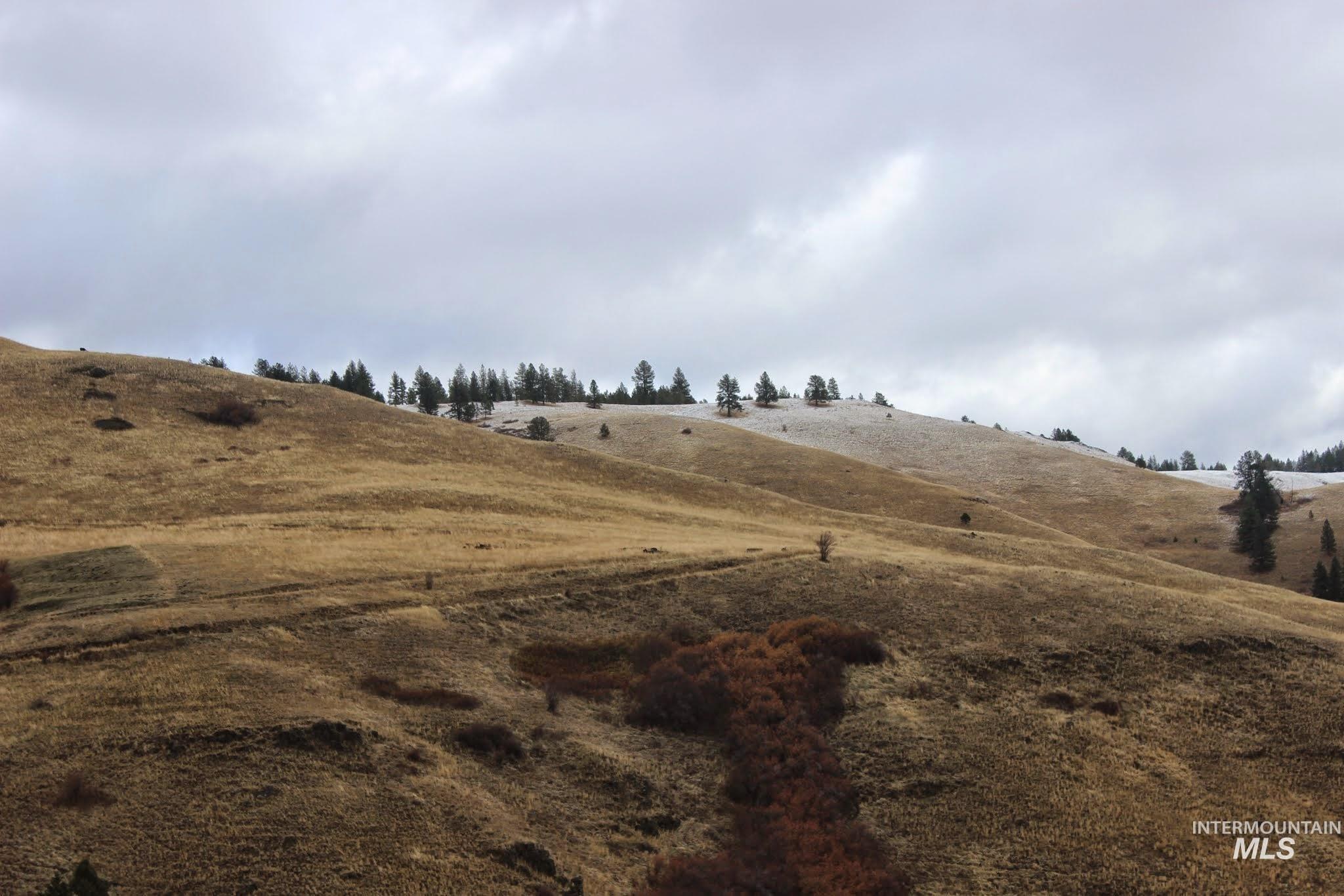 478 Deer Gulch Rd Property Photo 5