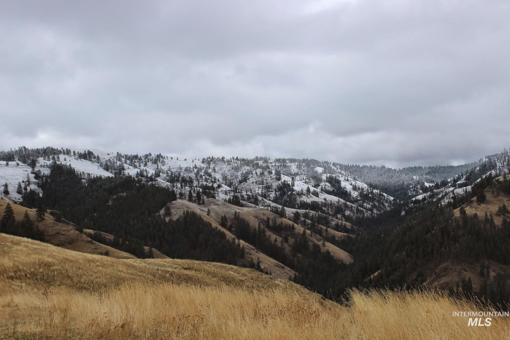 478 Deer Gulch Rd Property Photo 6
