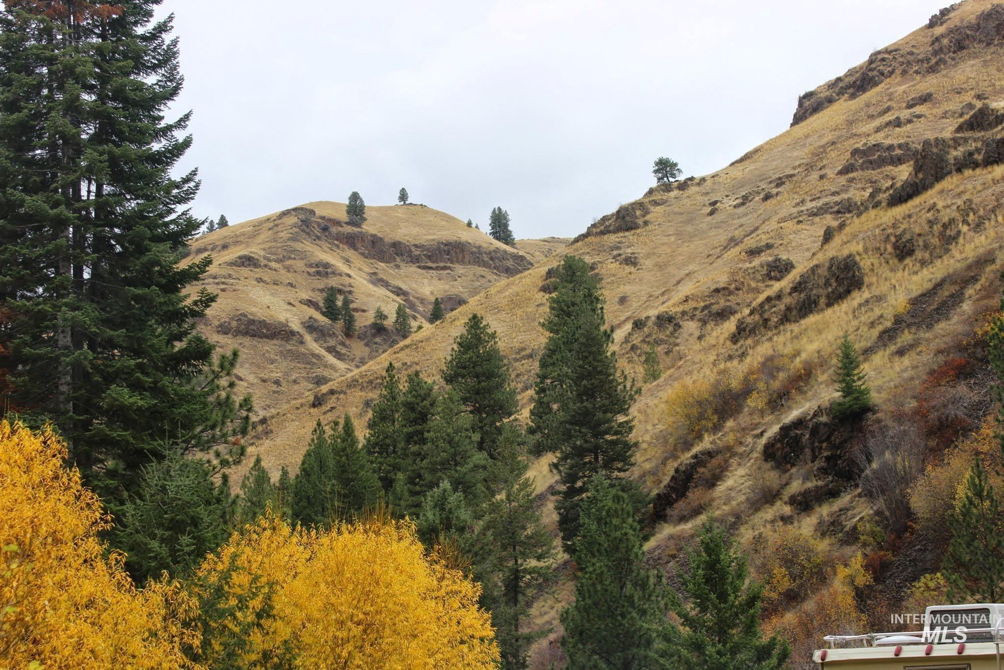 478 Deer Gulch Rd Property Photo 7
