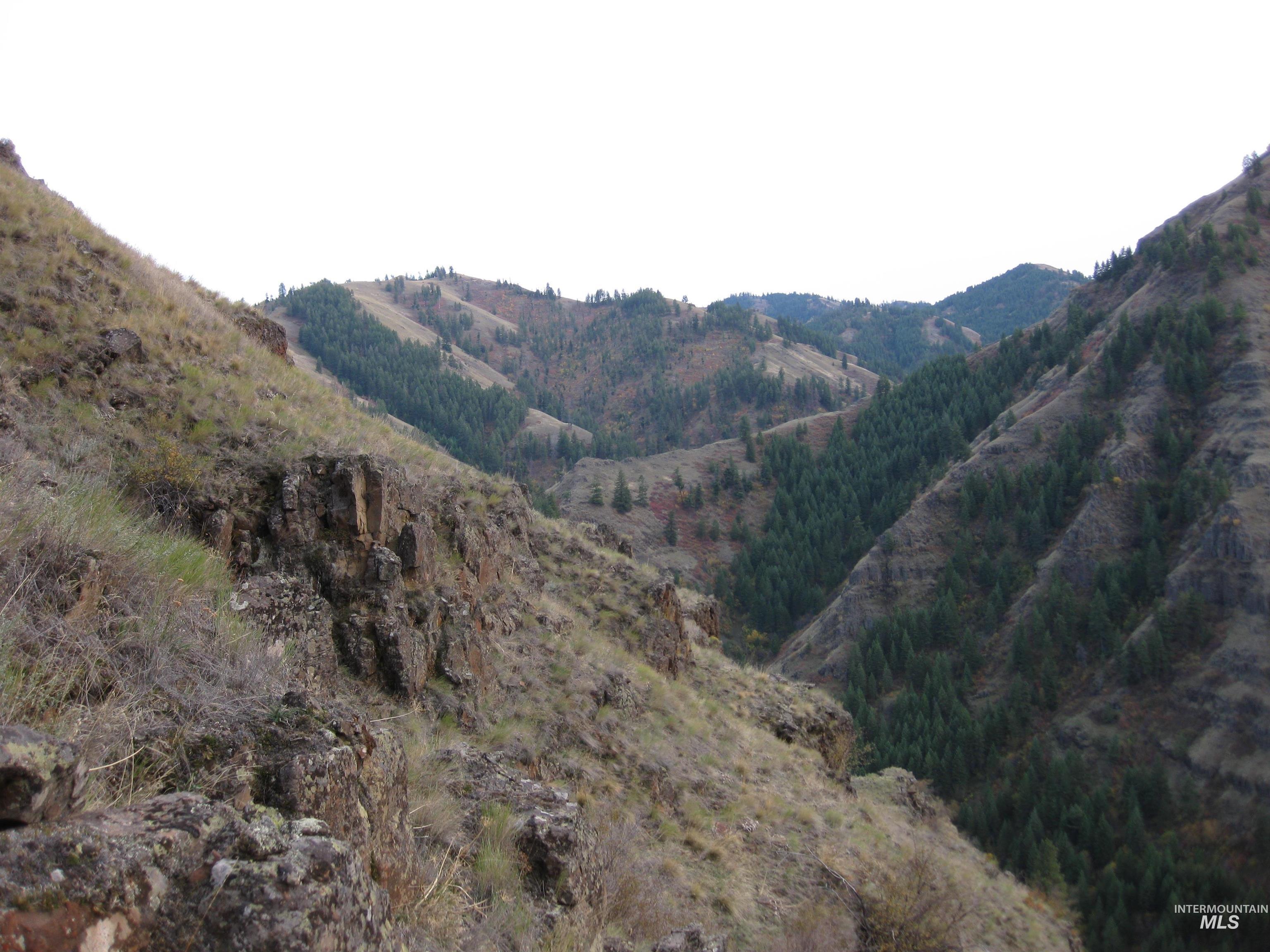 478 Deer Gulch Rd Property Photo 9