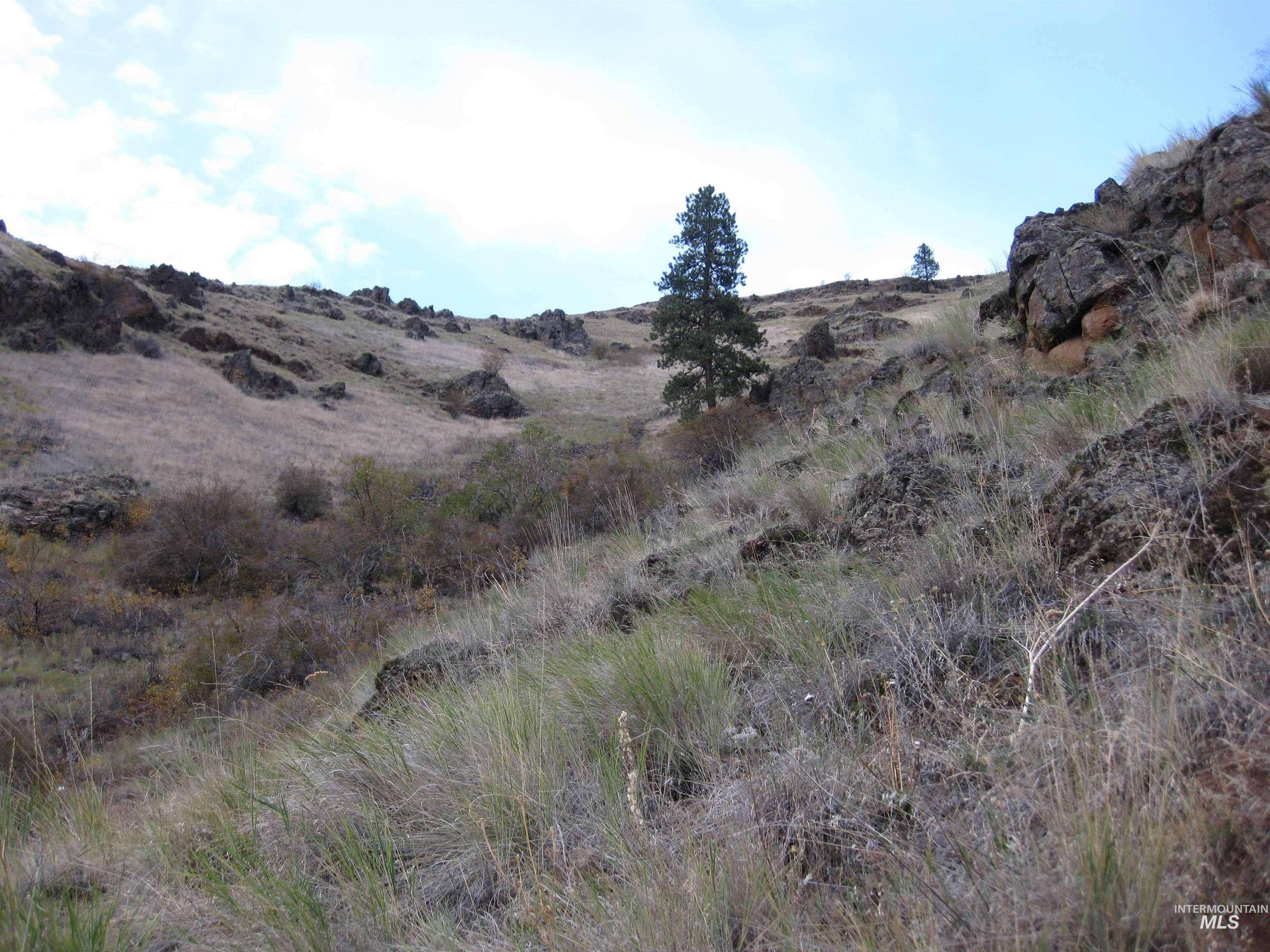 478 Deer Gulch Rd Property Photo 10