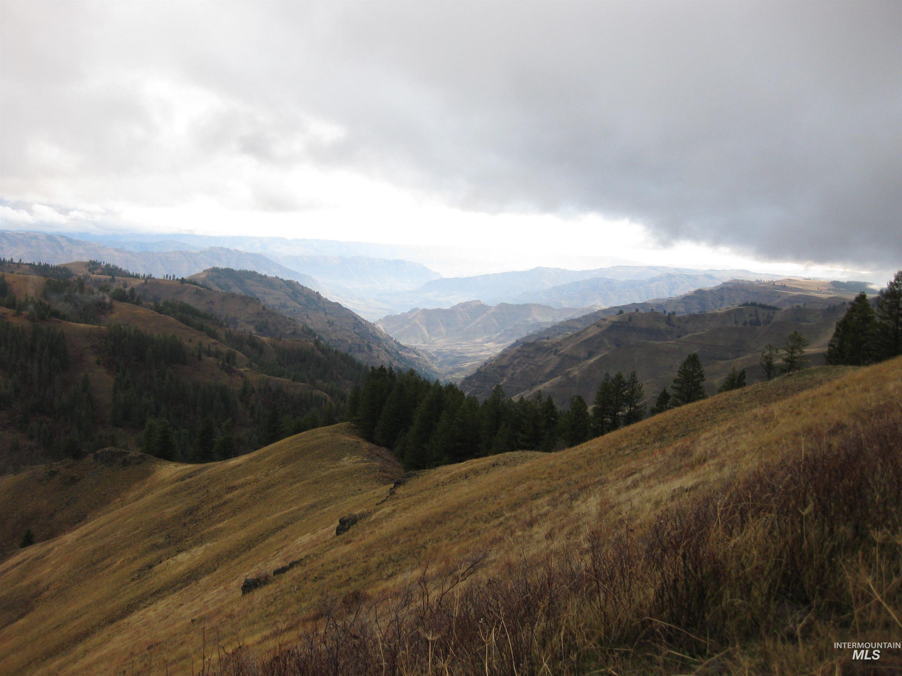 478 Deer Gulch Rd Property Photo 11