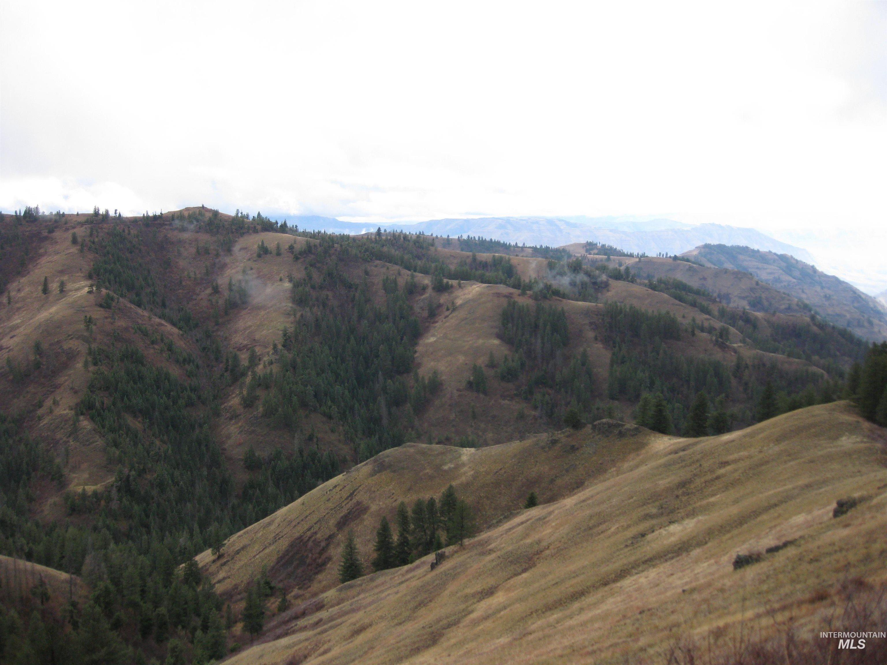 478 Deer Gulch Rd Property Photo 12