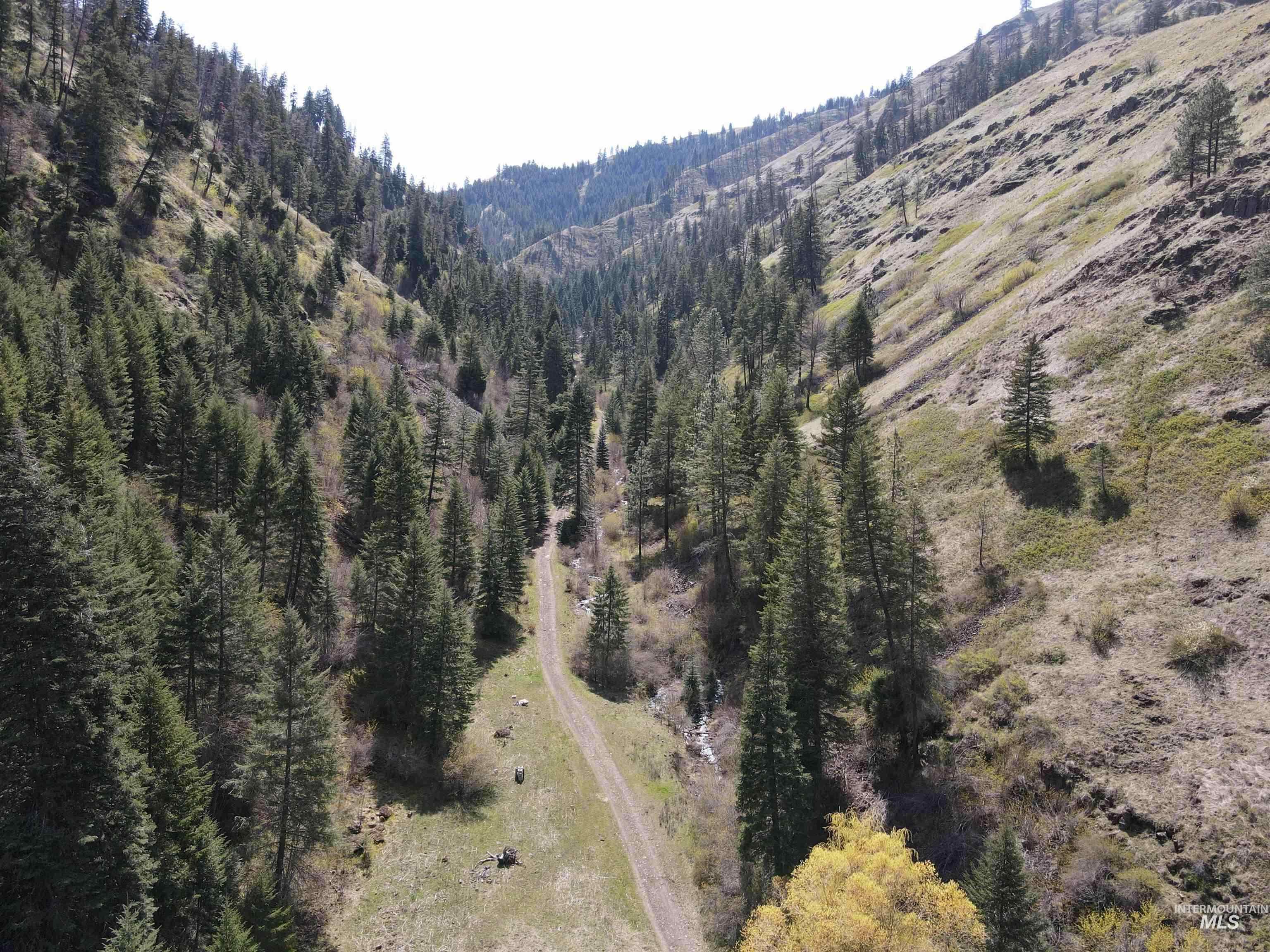 478 Deer Gulch Rd Property Photo 13