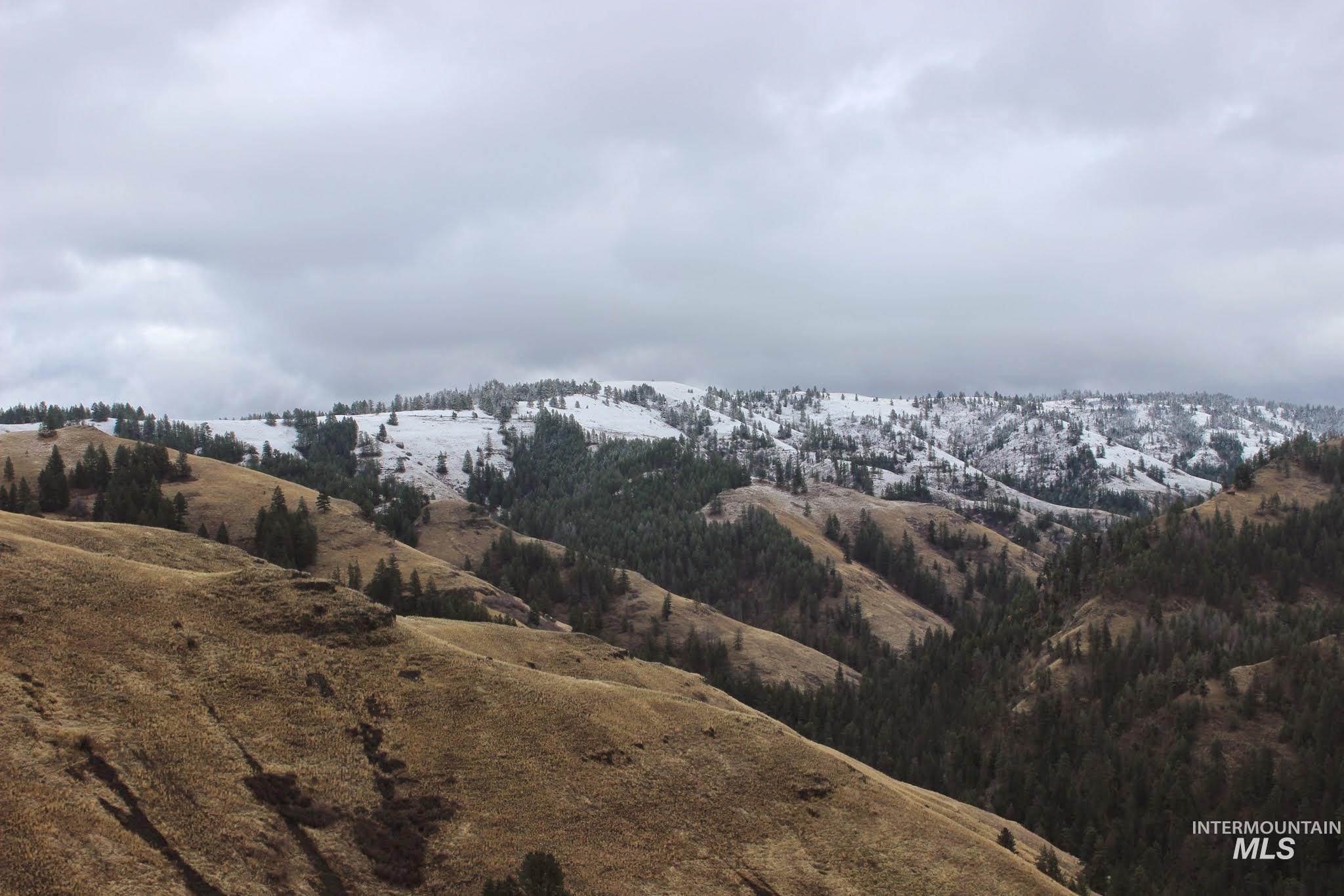 478 Deer Gulch Rd Property Photo 14