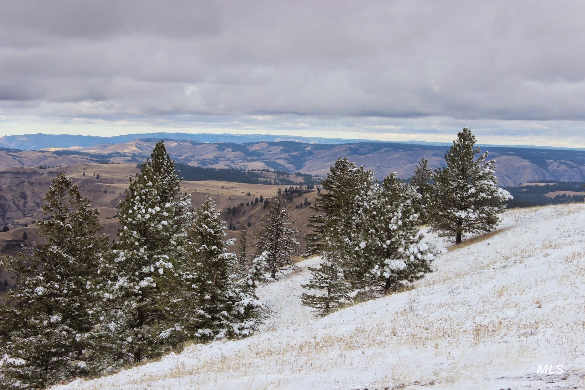 478 Deer Gulch Rd Property Photo 15