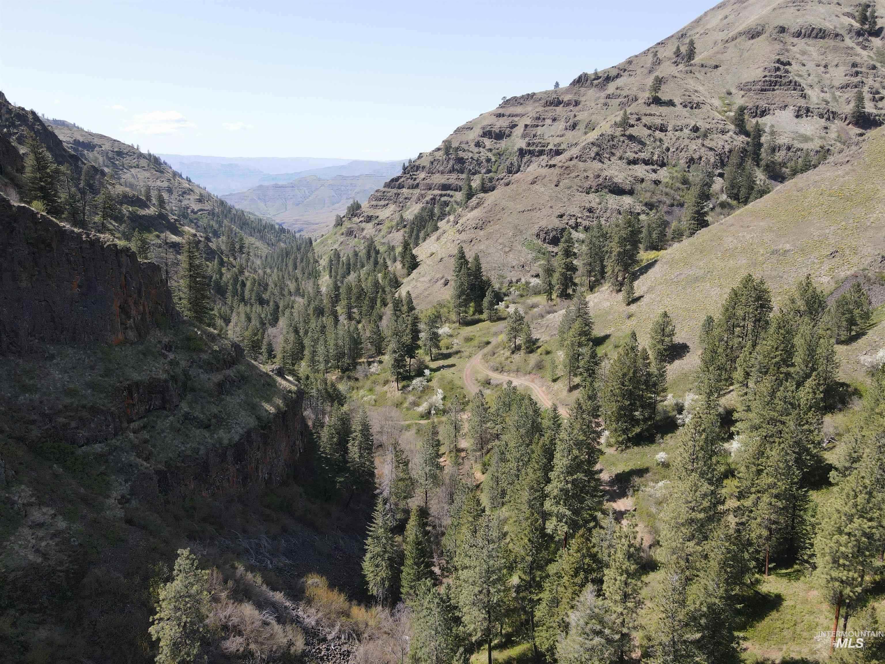 478 Deer Gulch Rd Property Photo 18