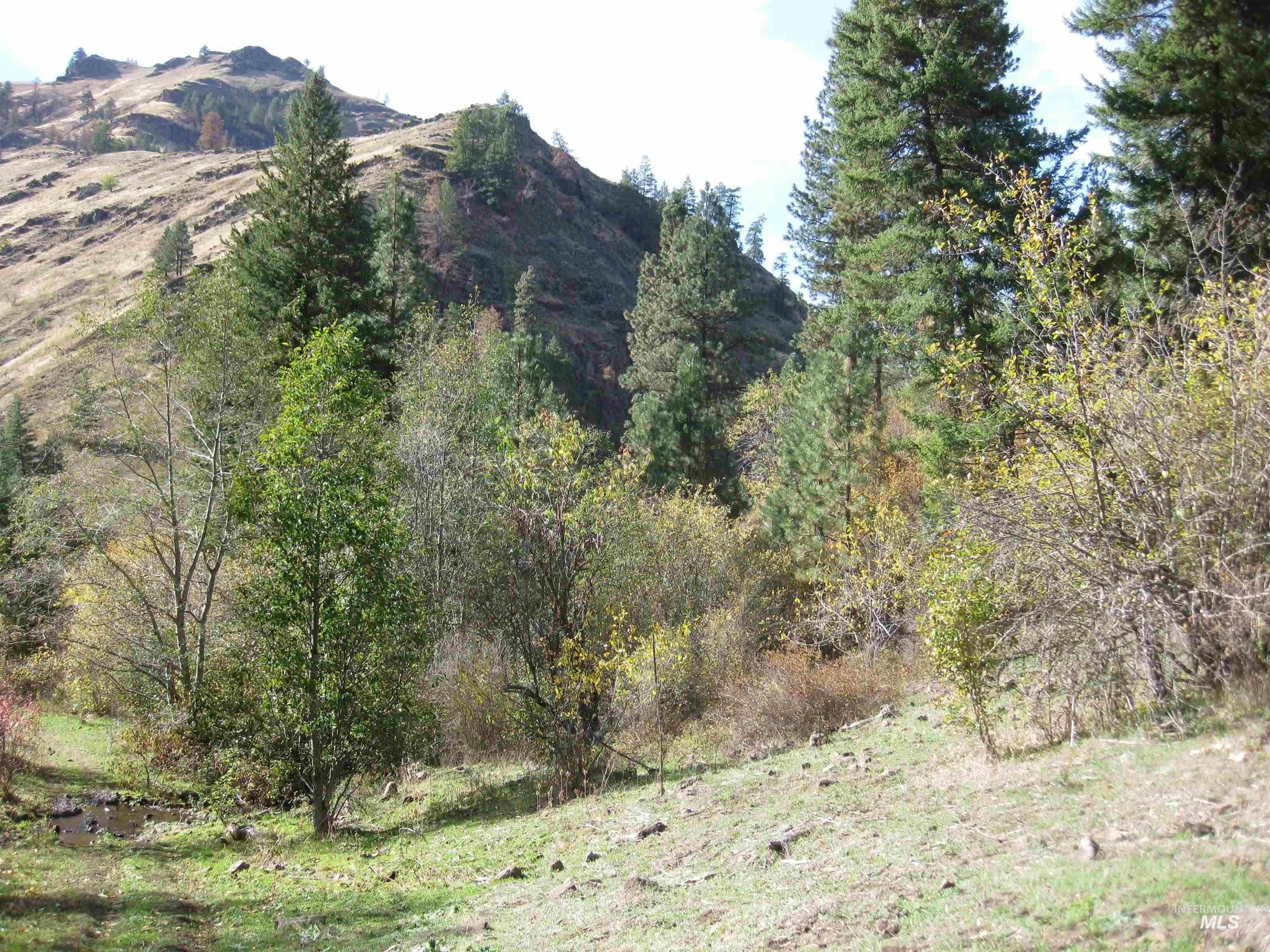 478 Deer Gulch Rd Property Photo 19